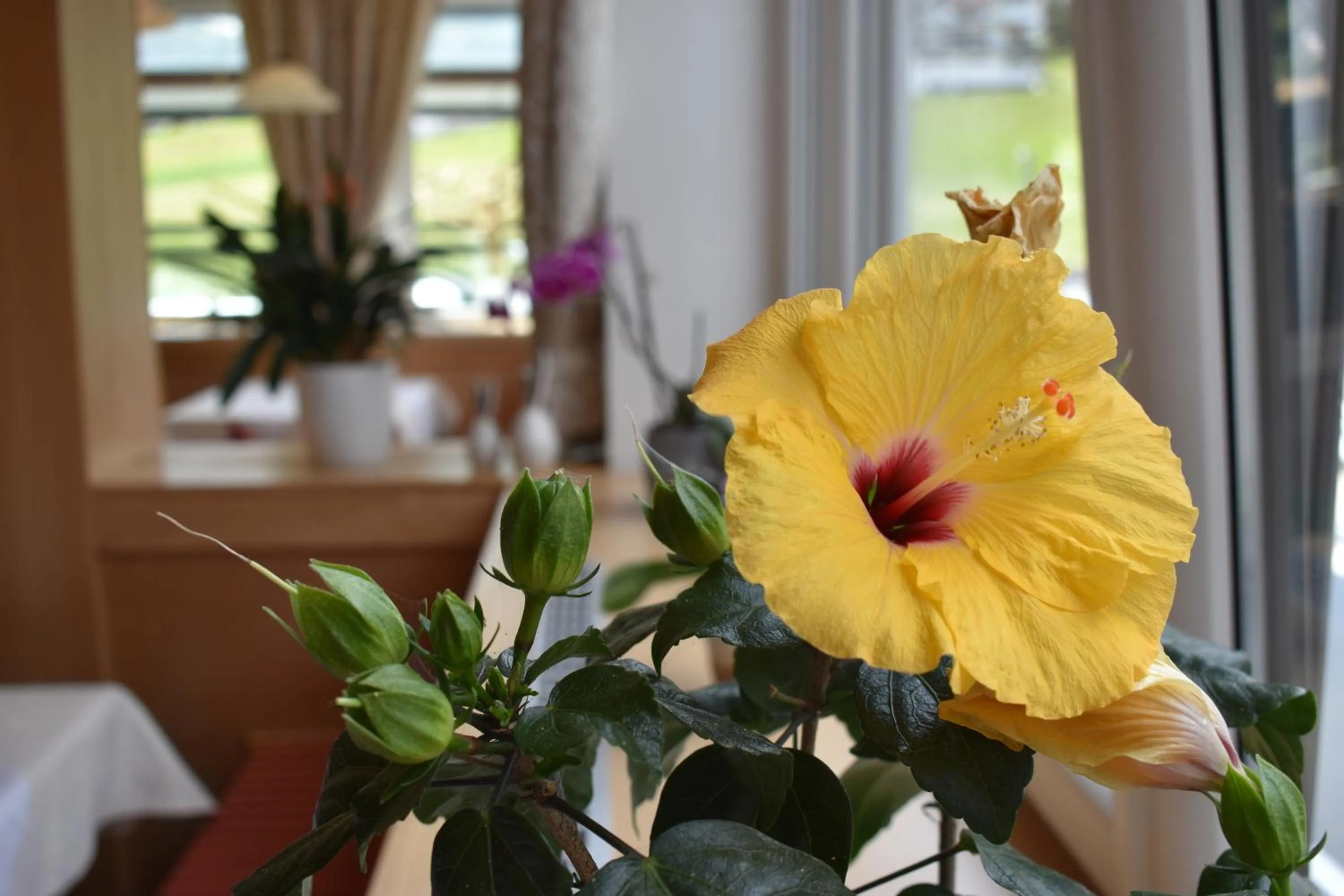 Decorative detail in Hotel Kleißl