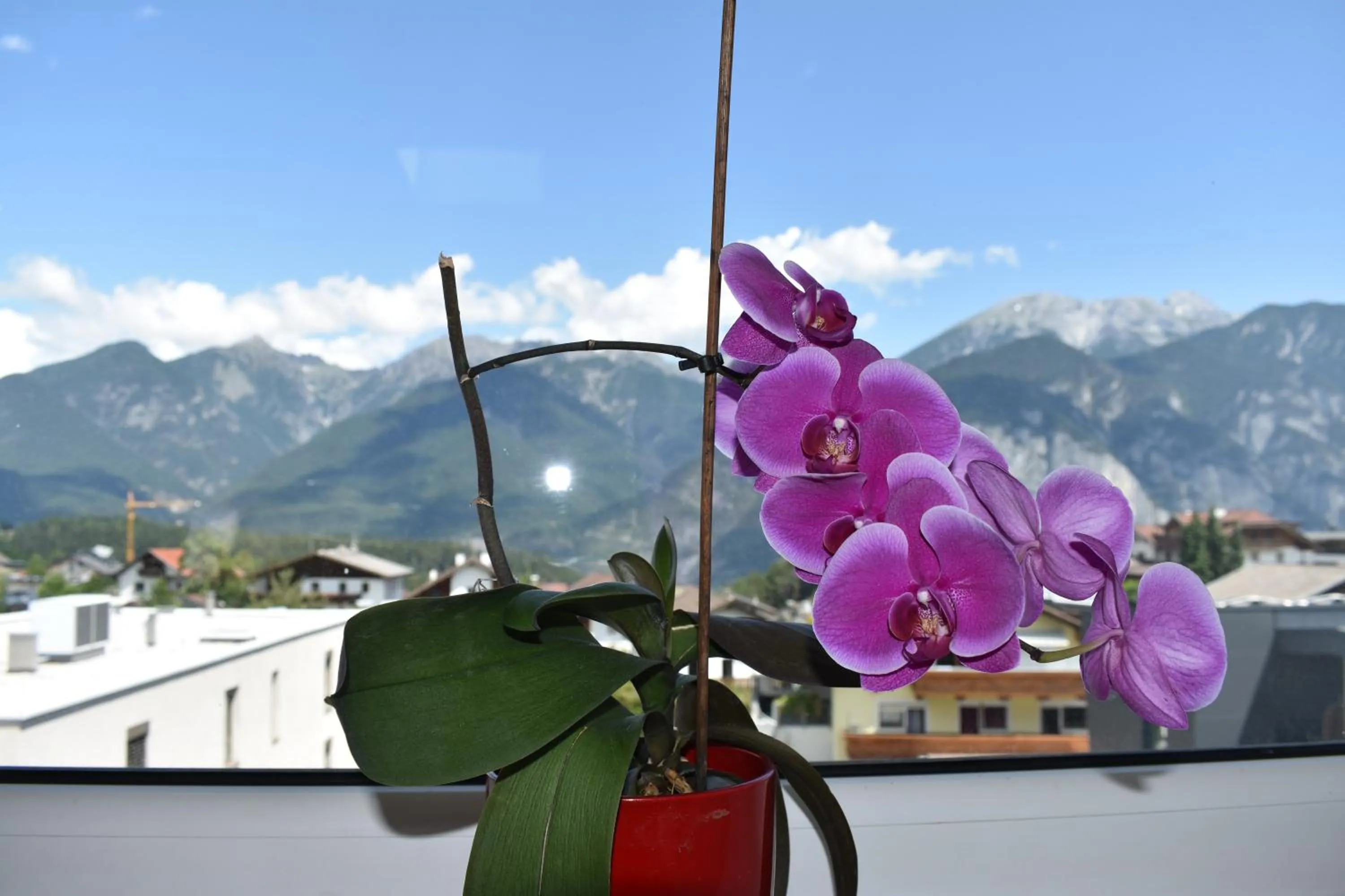 Natural landscape in Hotel Kleißl