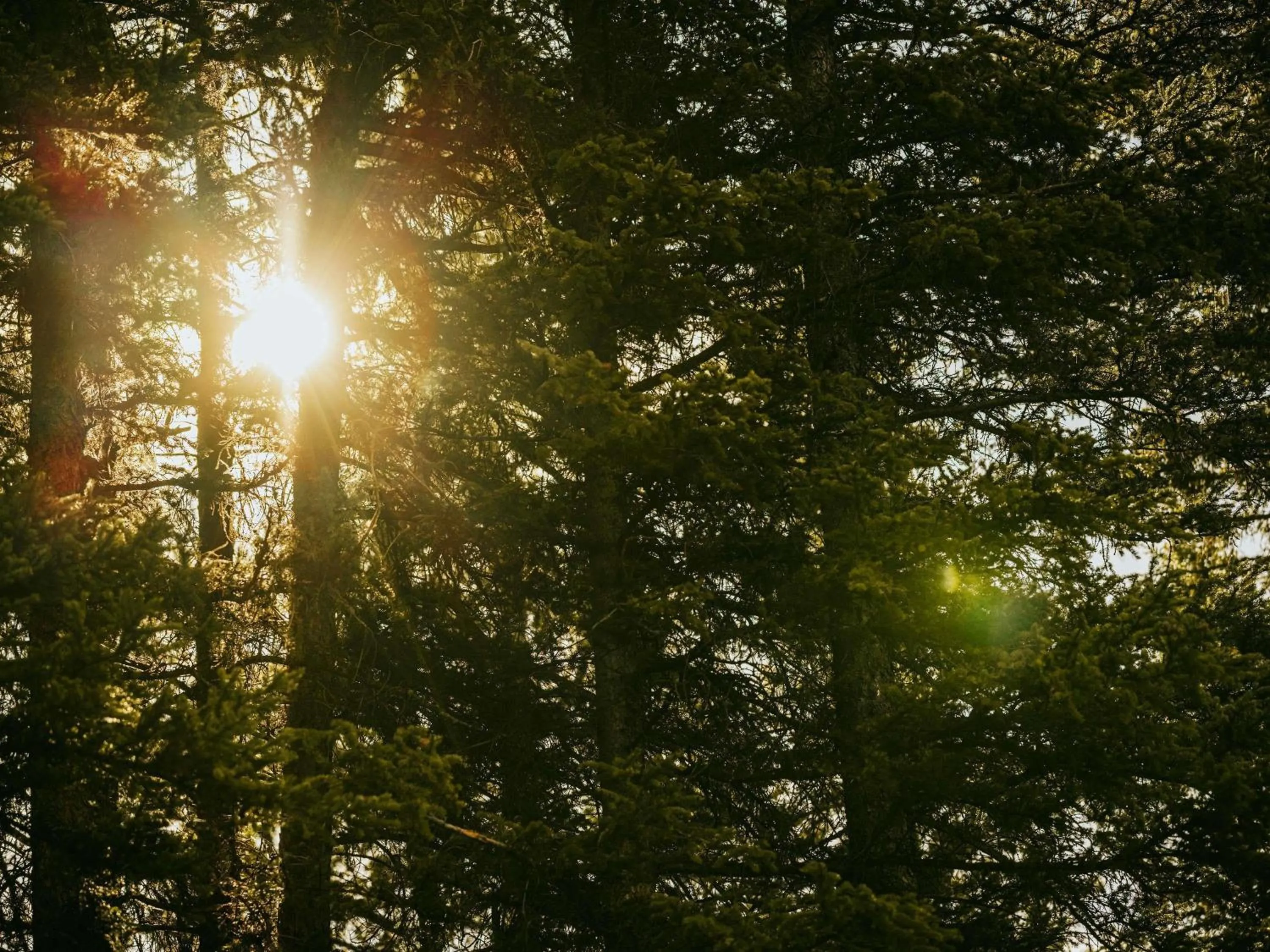 Spa and wellness centre/facilities in Fairmont Banff Springs