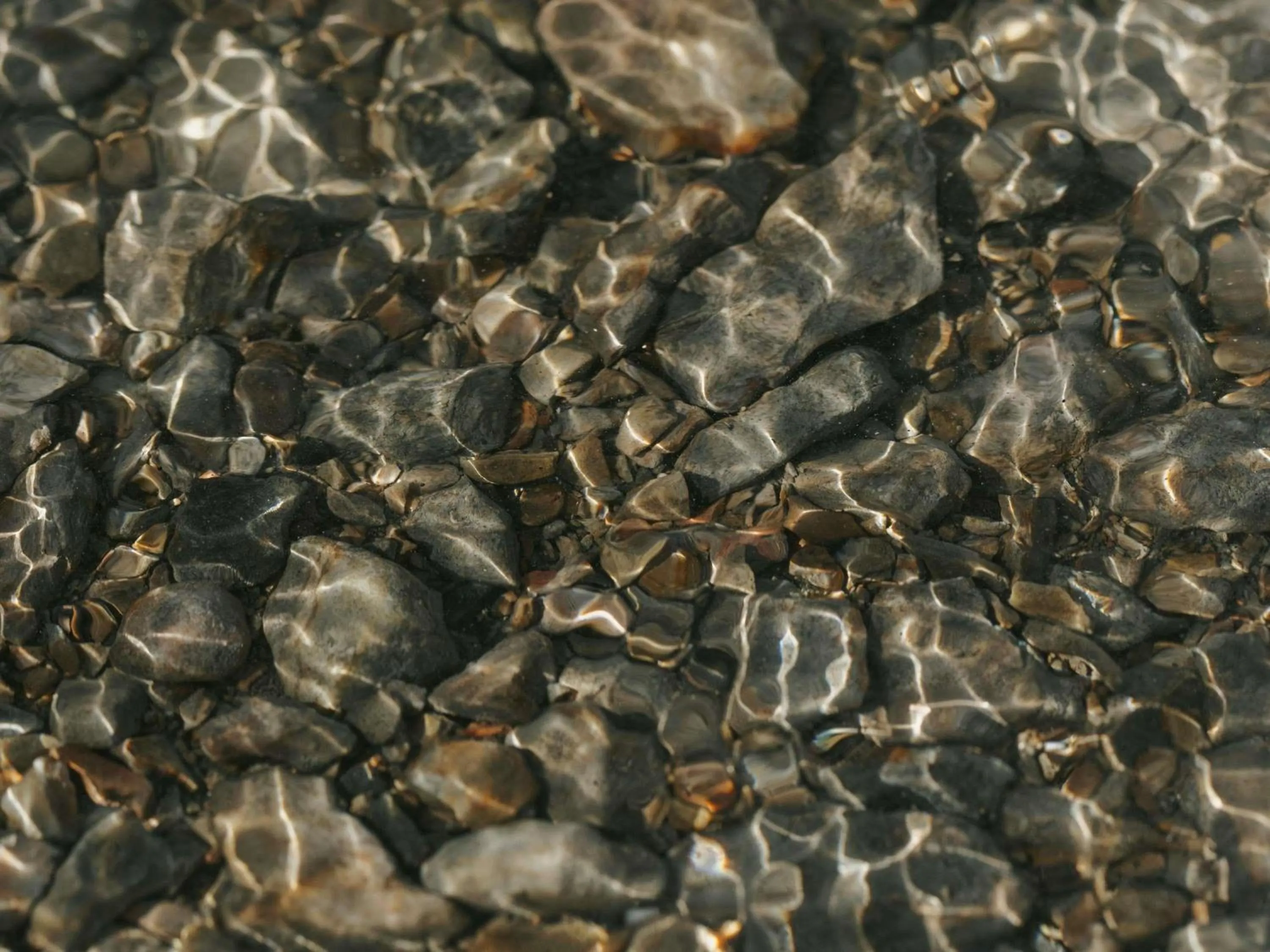 Spa and wellness centre/facilities in Fairmont Banff Springs