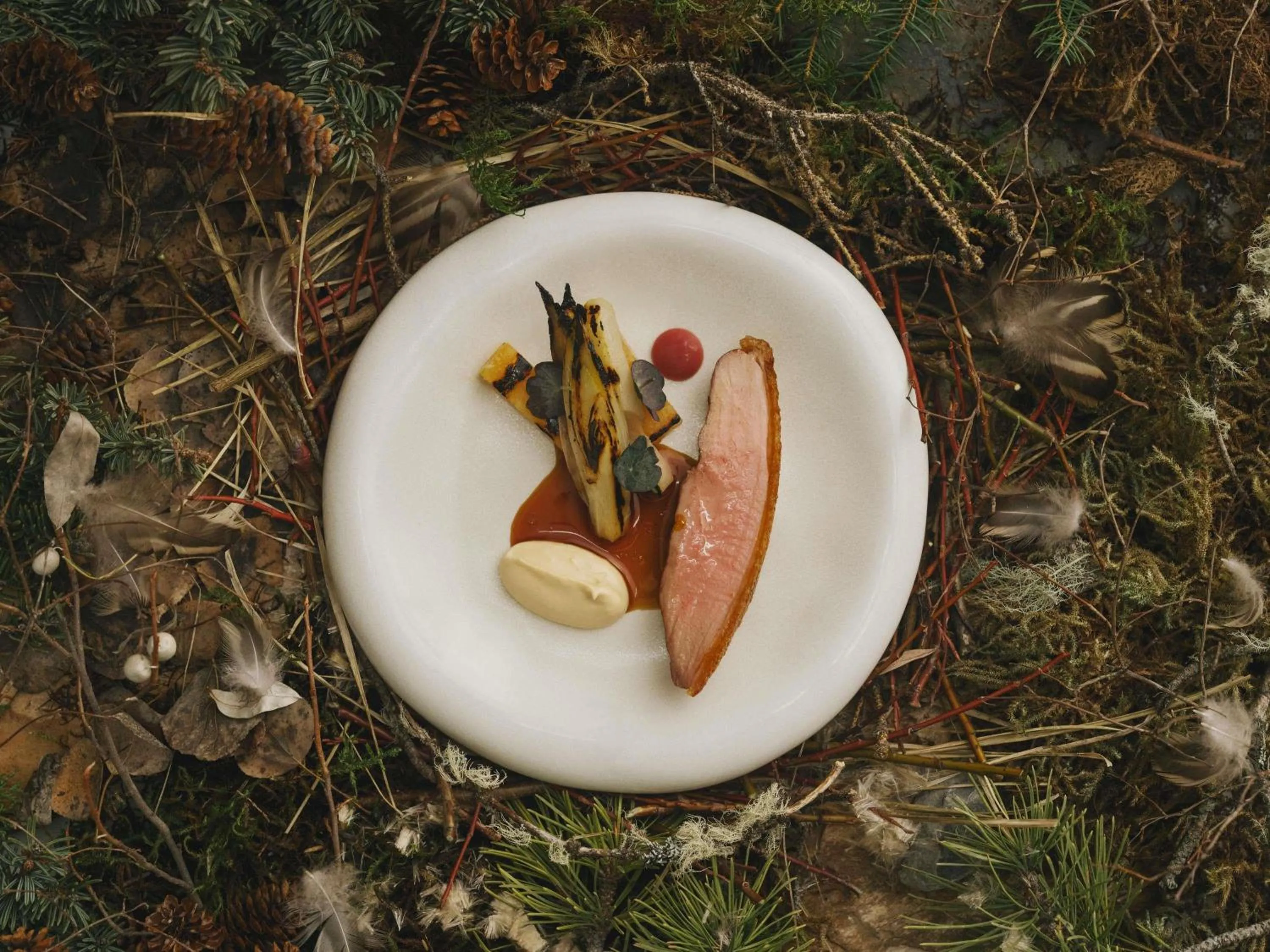 Restaurant/places to eat in Fairmont Banff Springs