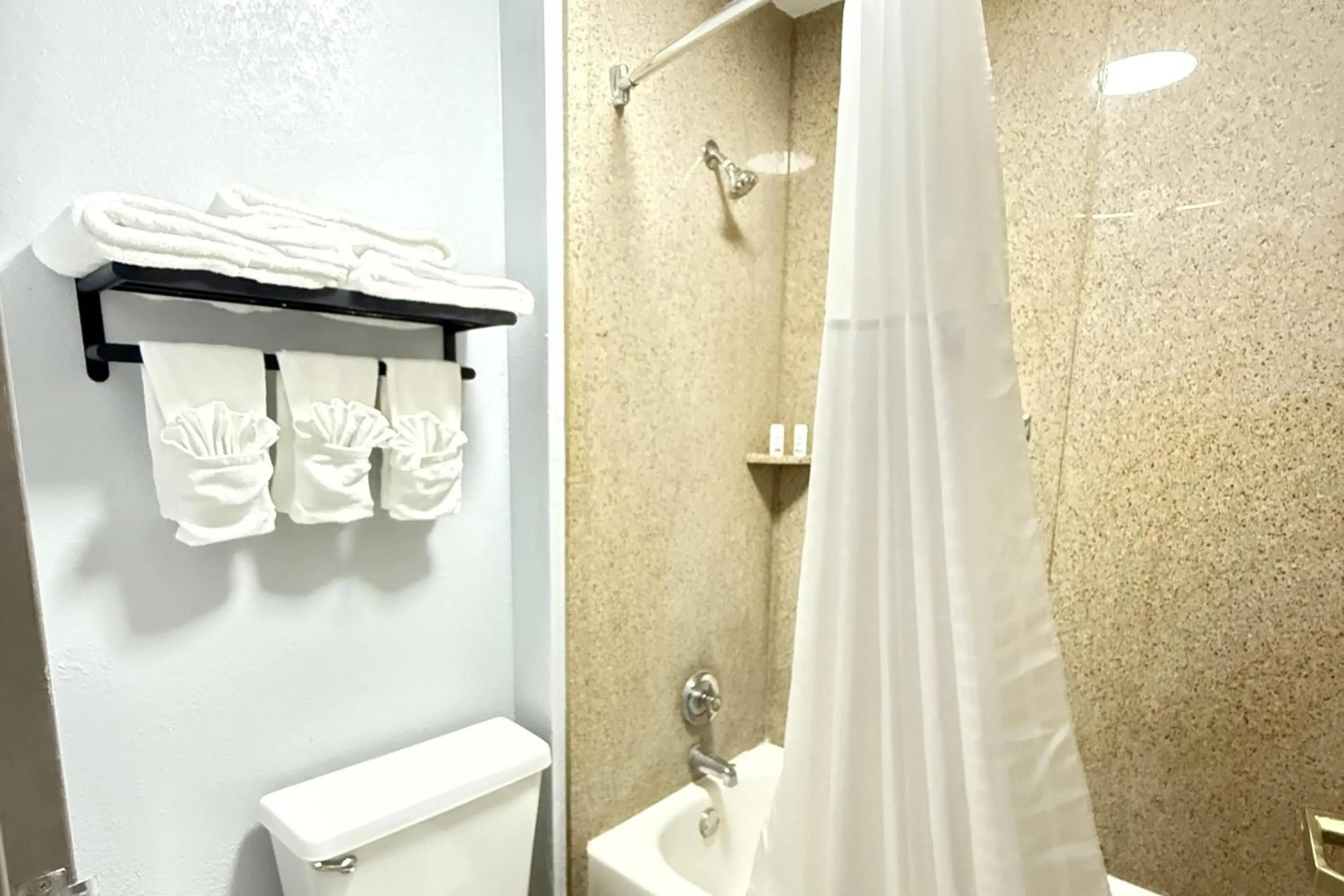 Bathroom in Baymont by Wyndham Tallahassee