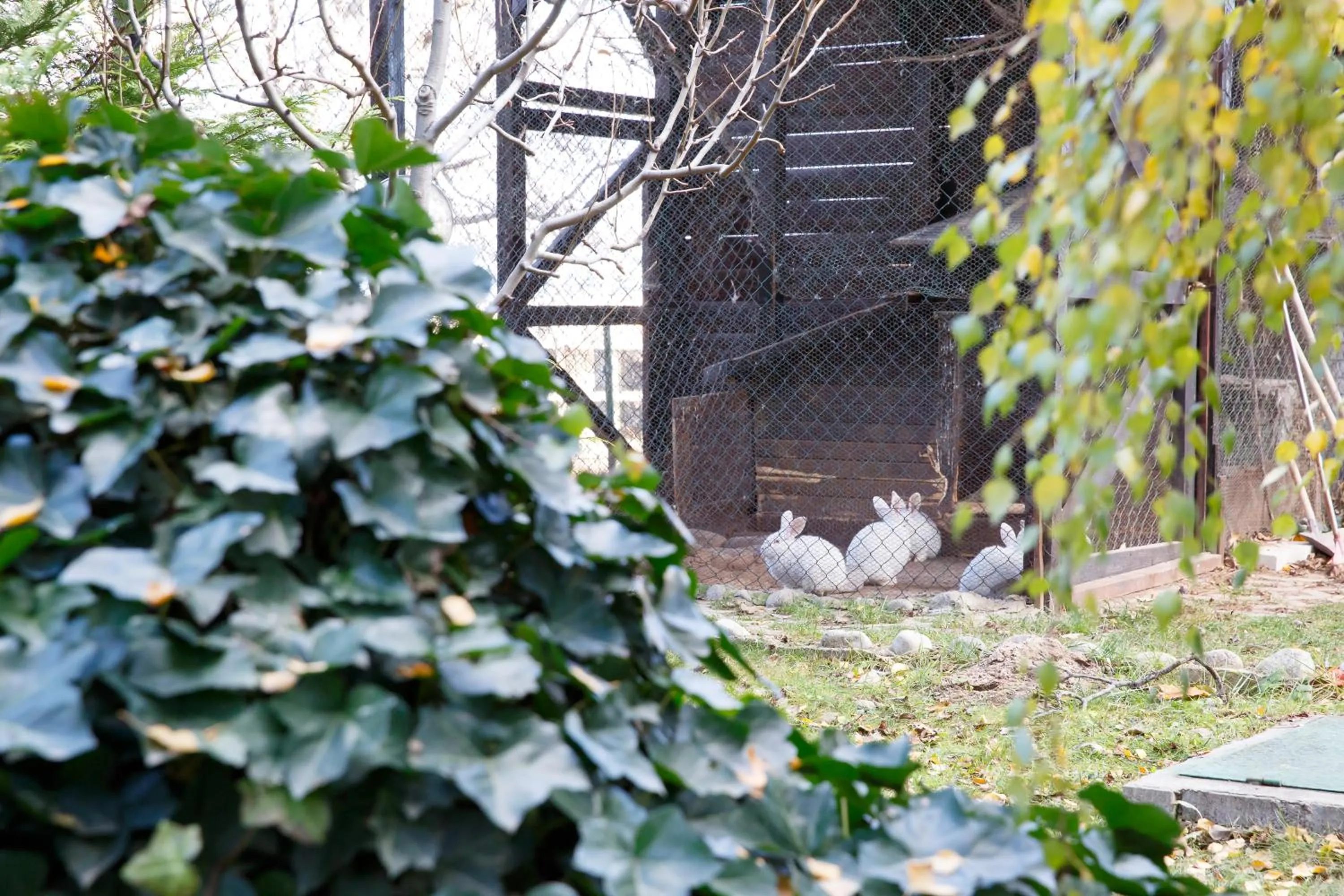 Sunrise Park Complex - Free Wellness