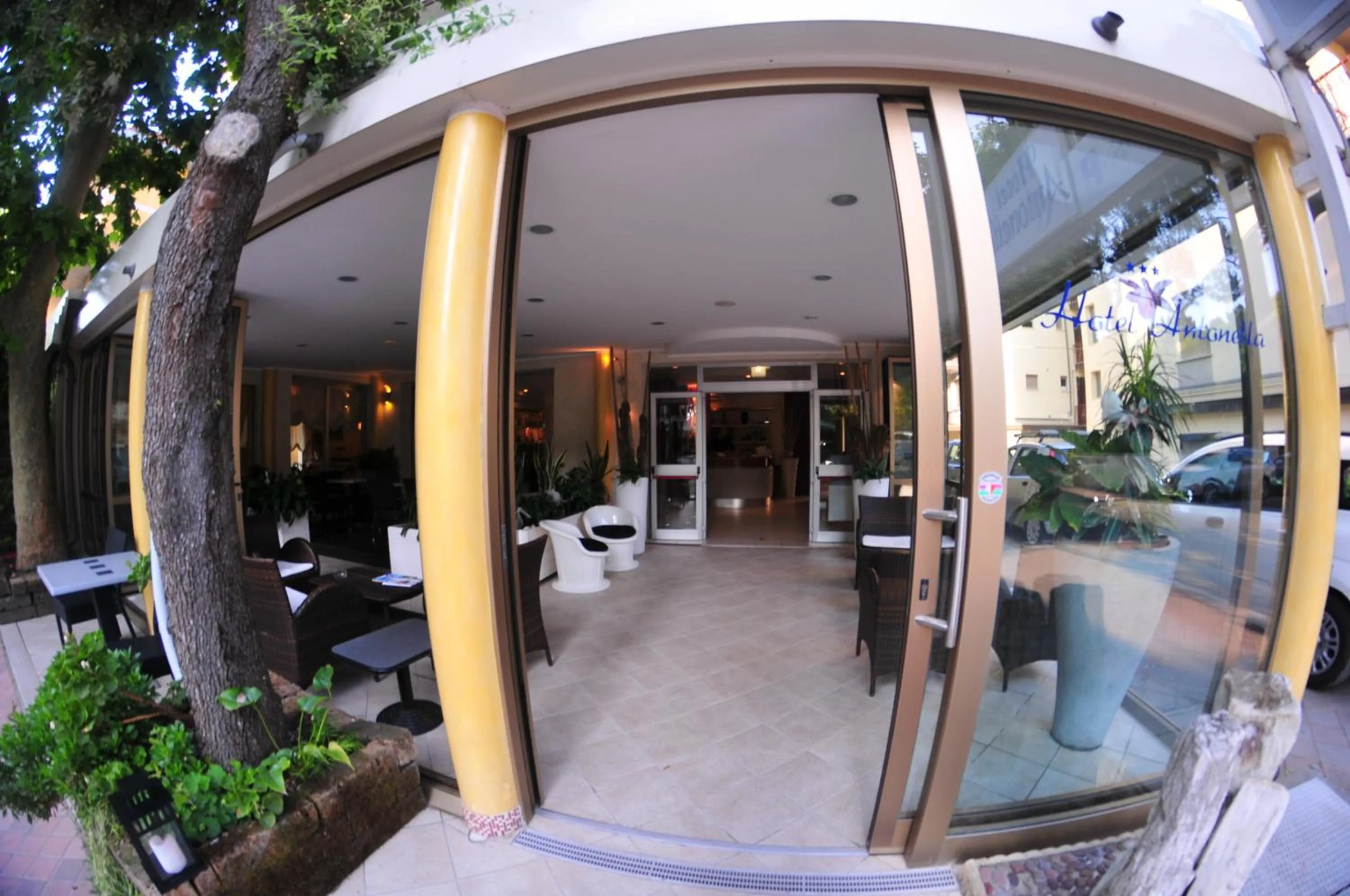 Area and facilities in Hotel Antonella