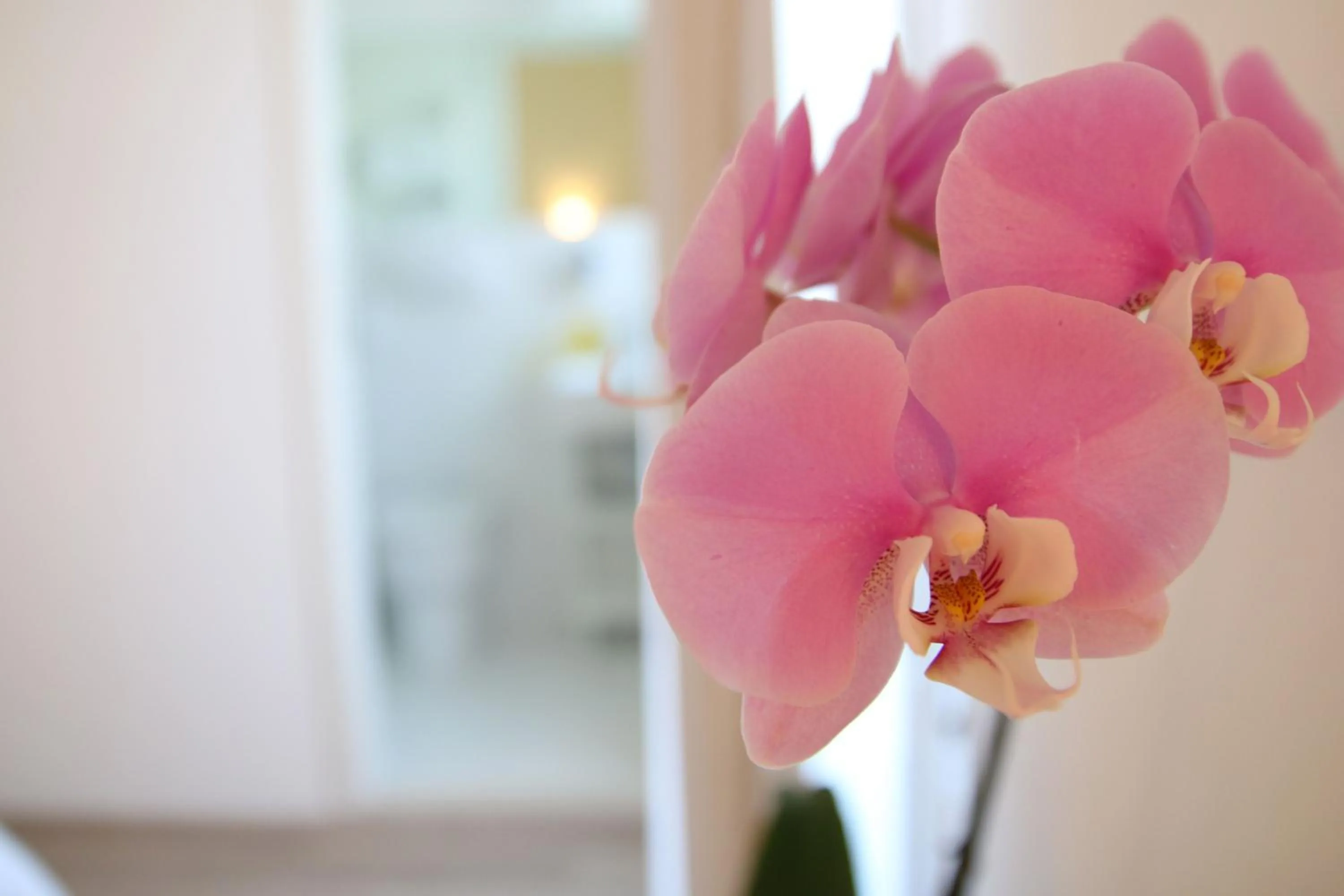 Decorative detail in Maree Hotel