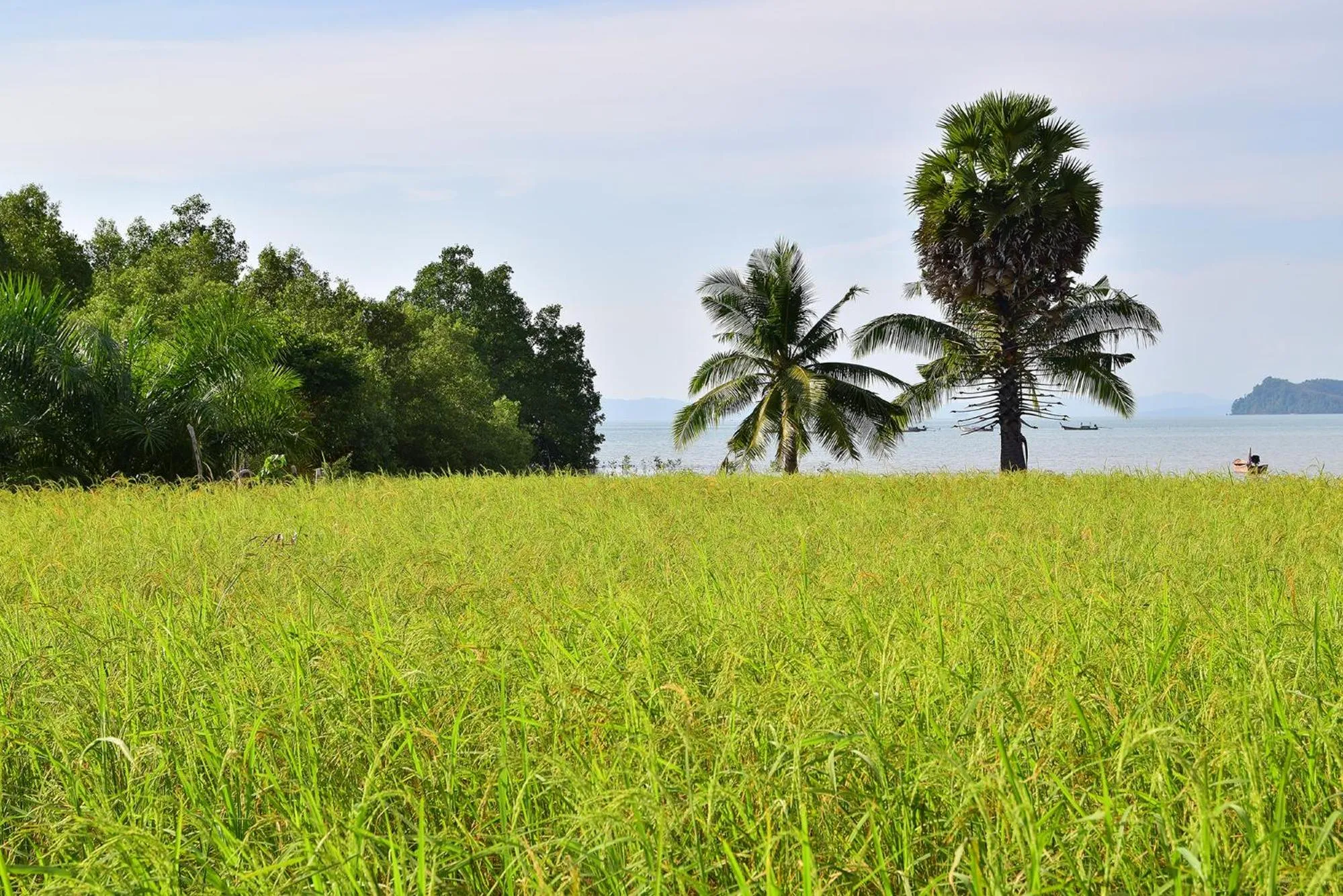 Day in Anissa Resort Koh Yao Yai