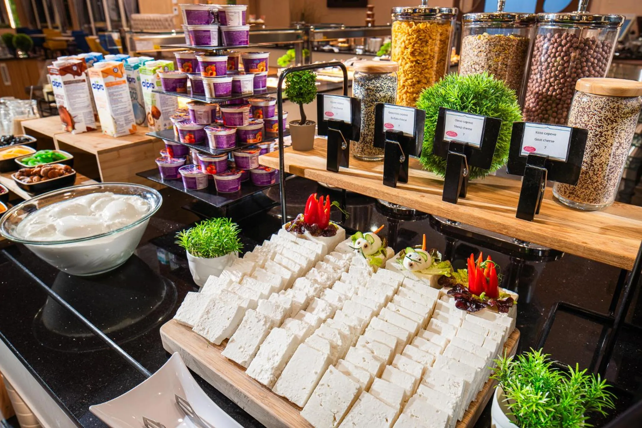 Park & Spa Hotel Markovo