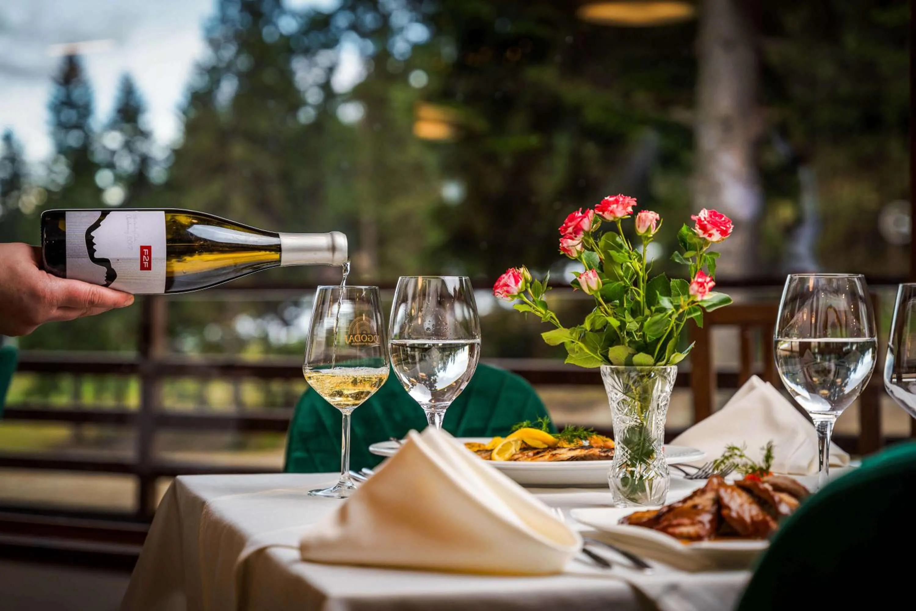 Restaurant/places to eat in Musala Hotel