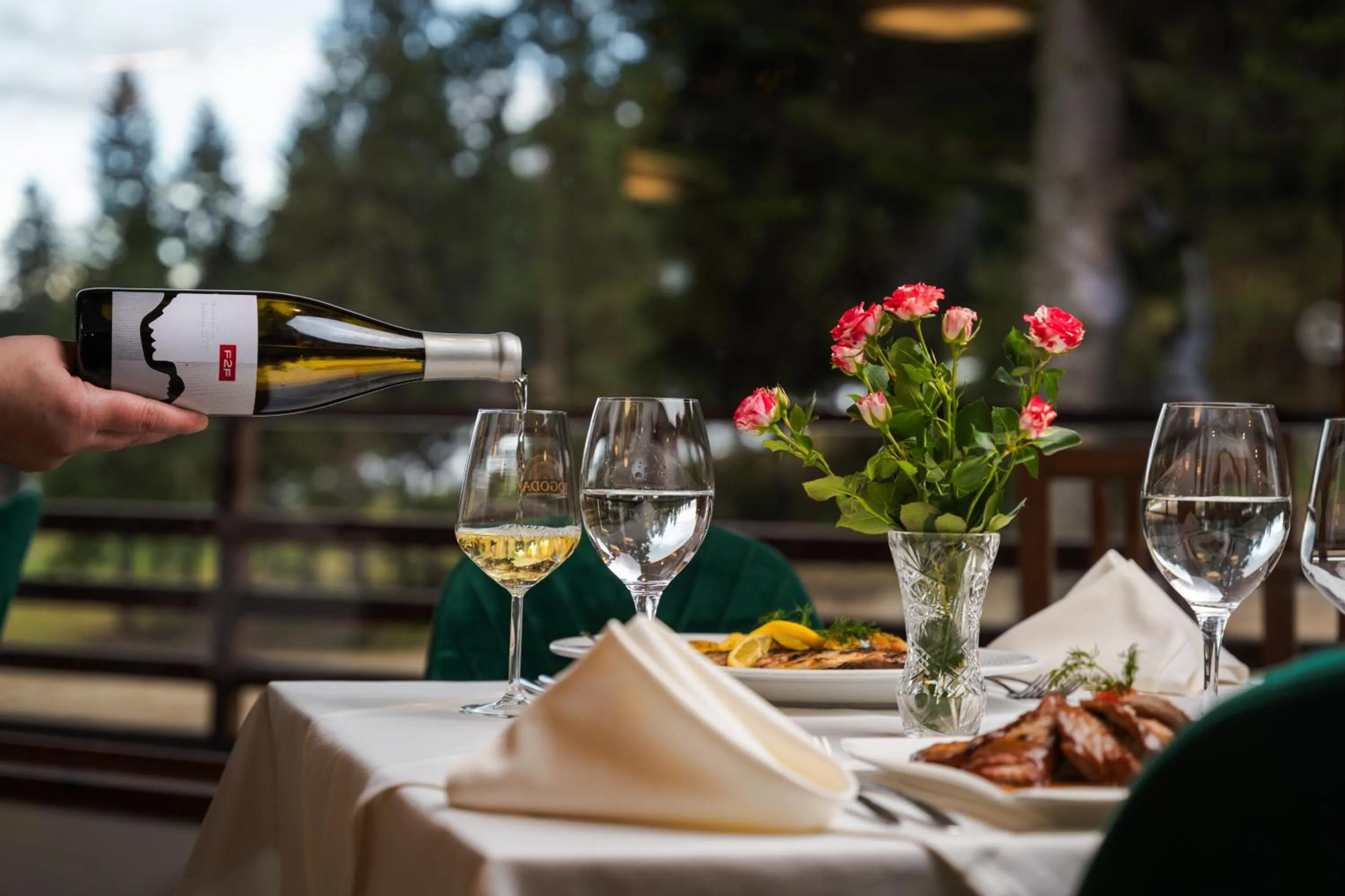 Restaurant/places to eat in Musala Hotel