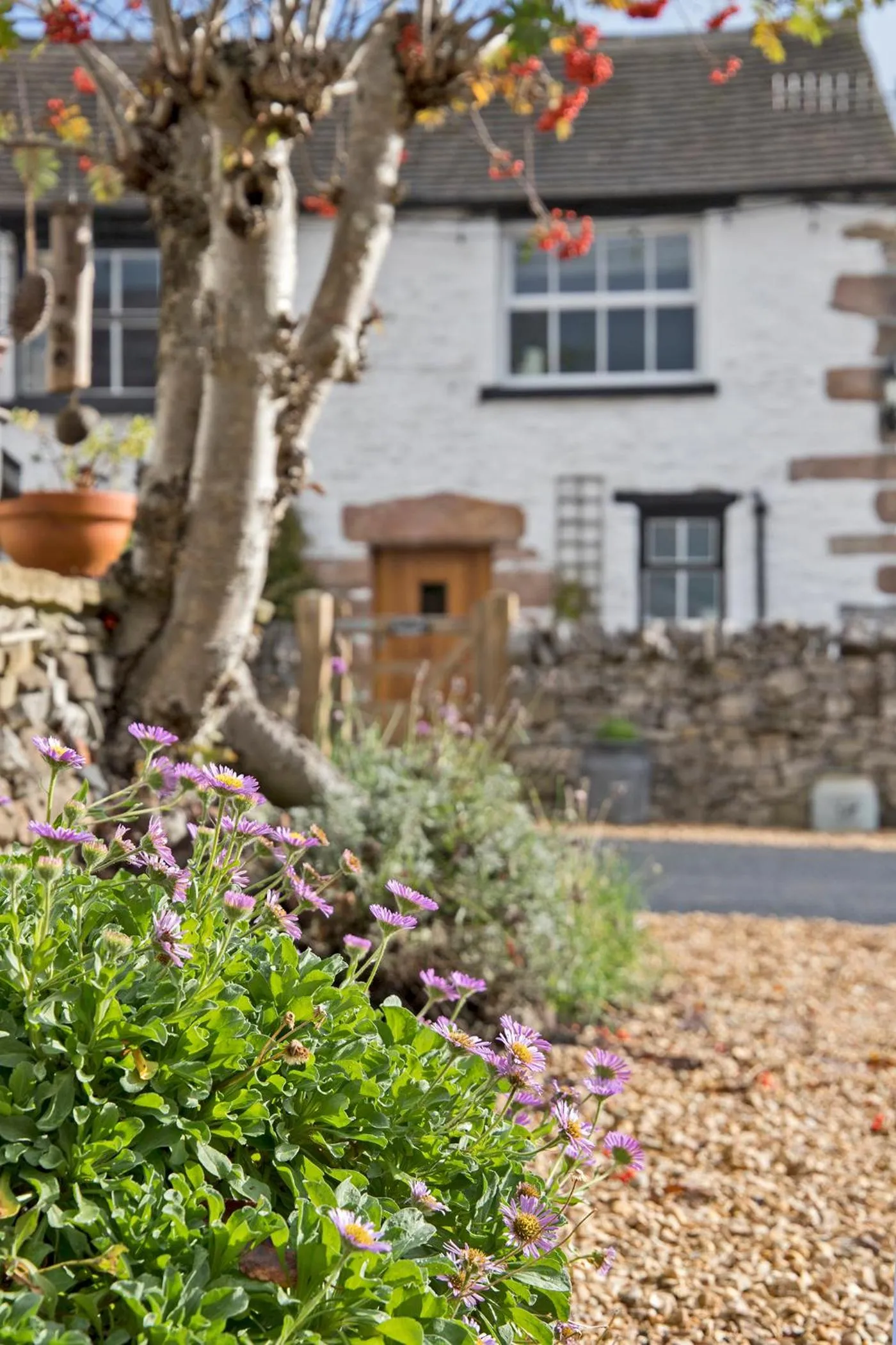 Property building in Hawthorn Farm Guest House