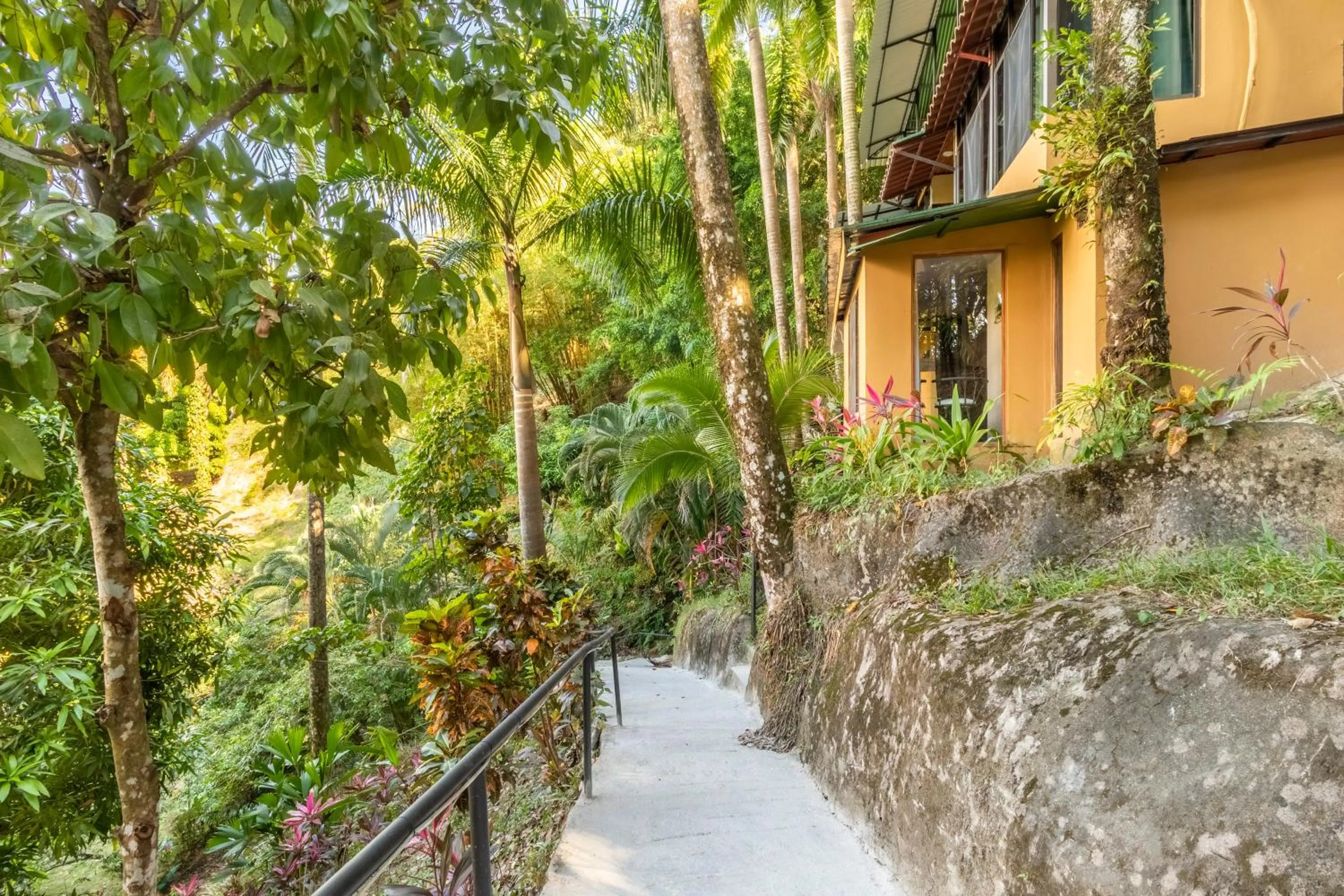 Natural landscape in Boutique Hotel Las Cascadas