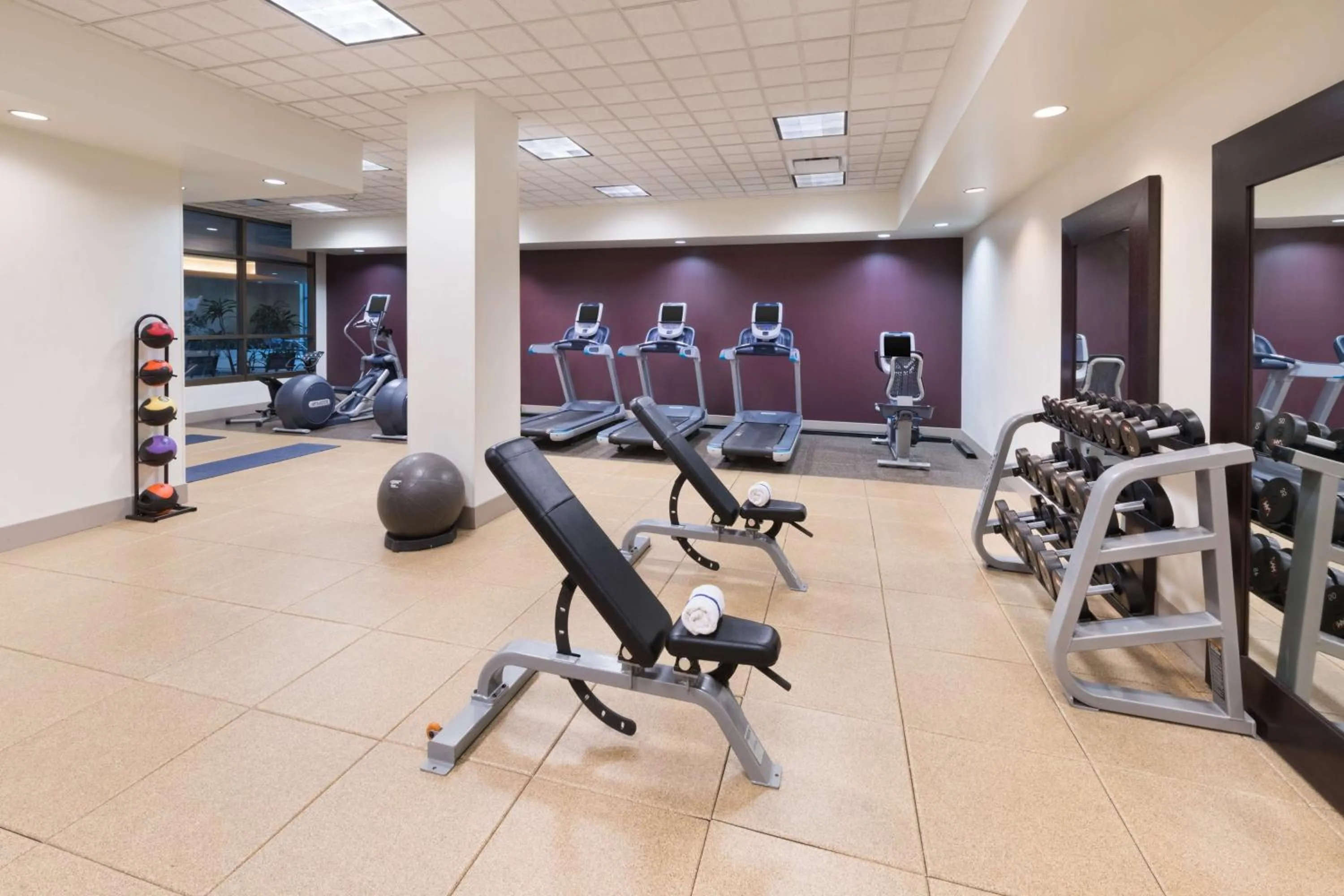 Fitness centre/facilities in Embassy Suites Murfreesboro - Hotel & Conference Center