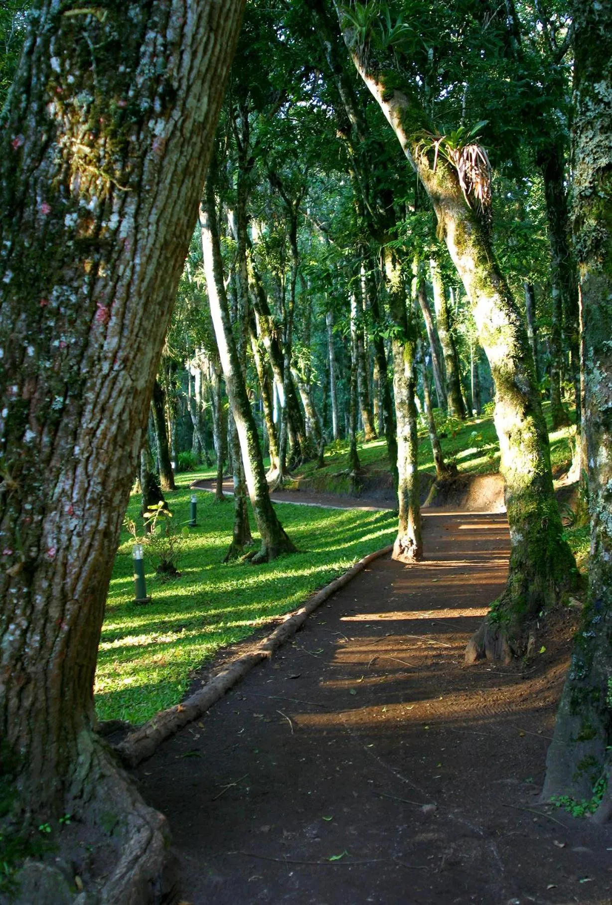 Surya-Pan Refúgio Hotel - Super Pet Friendly