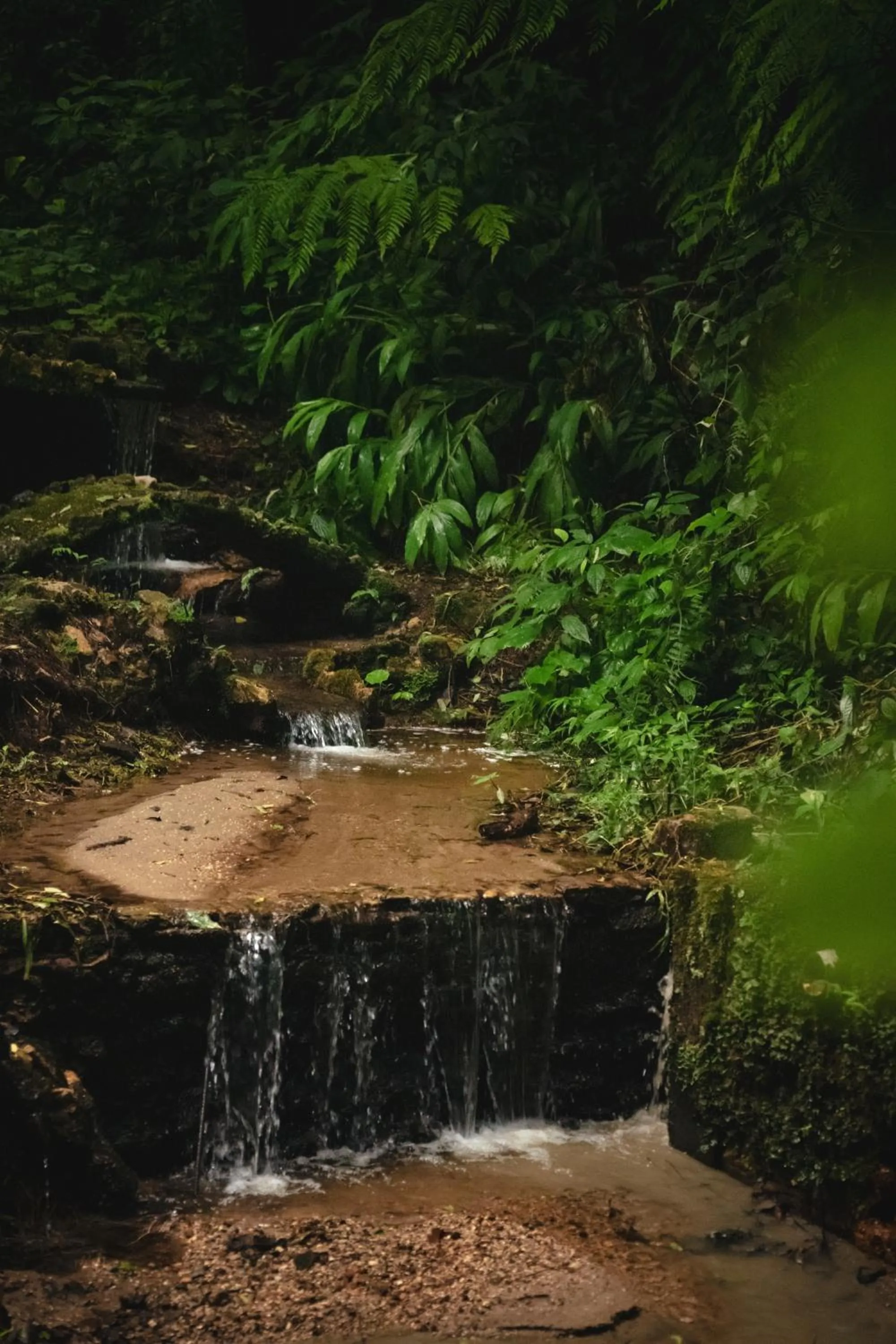 Nearby landmark in Surya-Pan Refúgio Hotel - Super Pet Friendly