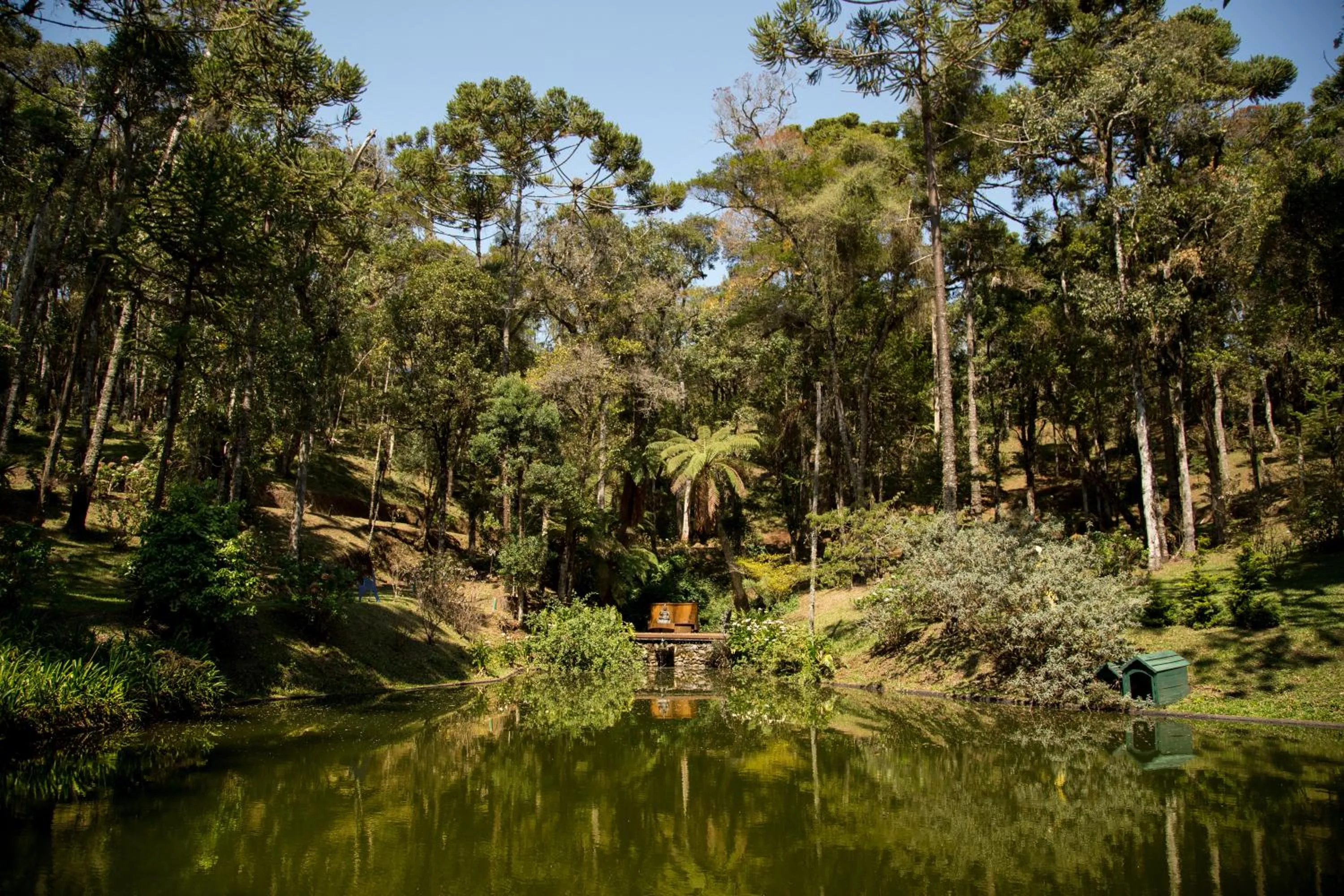 Activities in Surya-Pan Refúgio Hotel - Super Pet Friendly