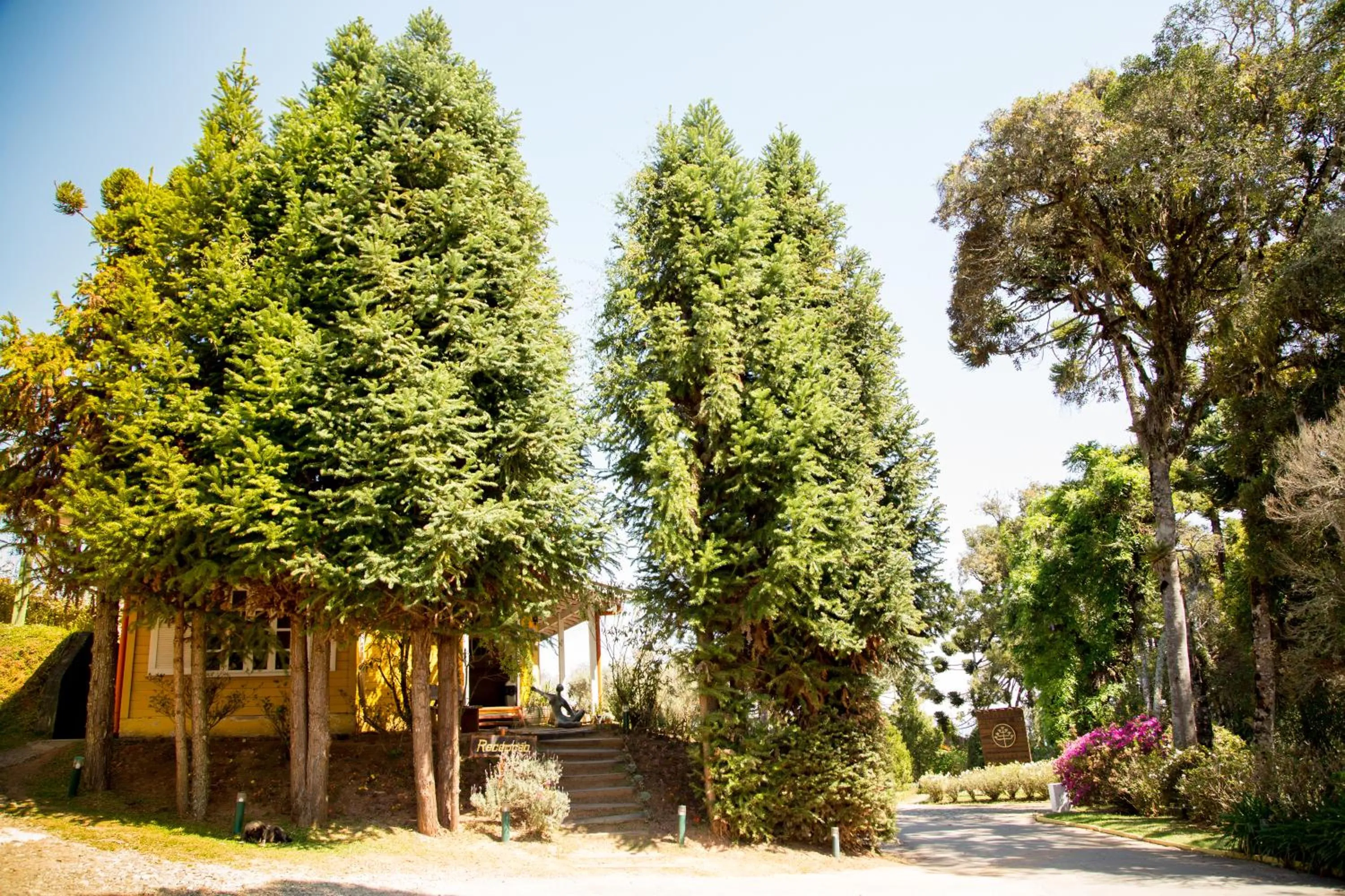 Area and facilities in Surya-Pan Refúgio Hotel - Super Pet Friendly