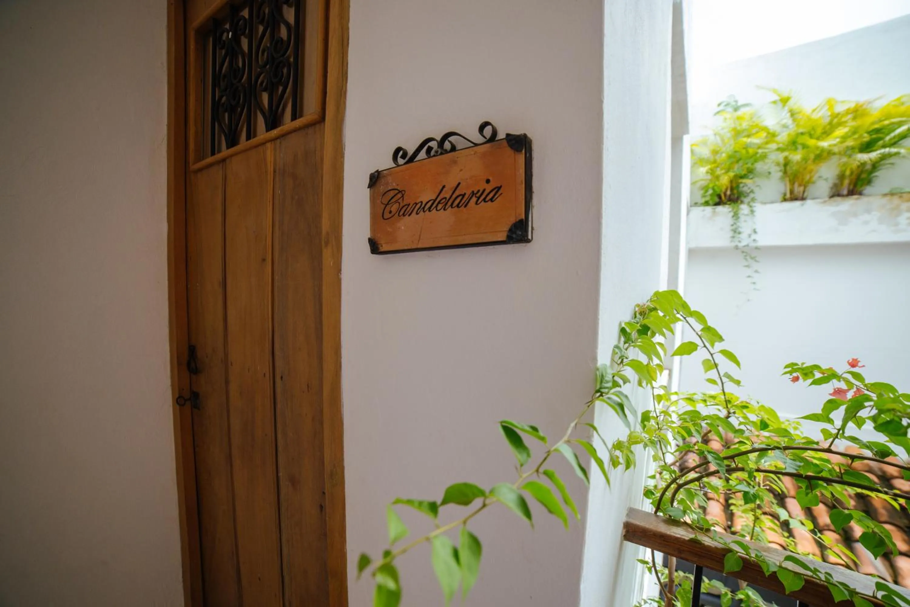 Decorative detail in Bioma Boutique Hotel