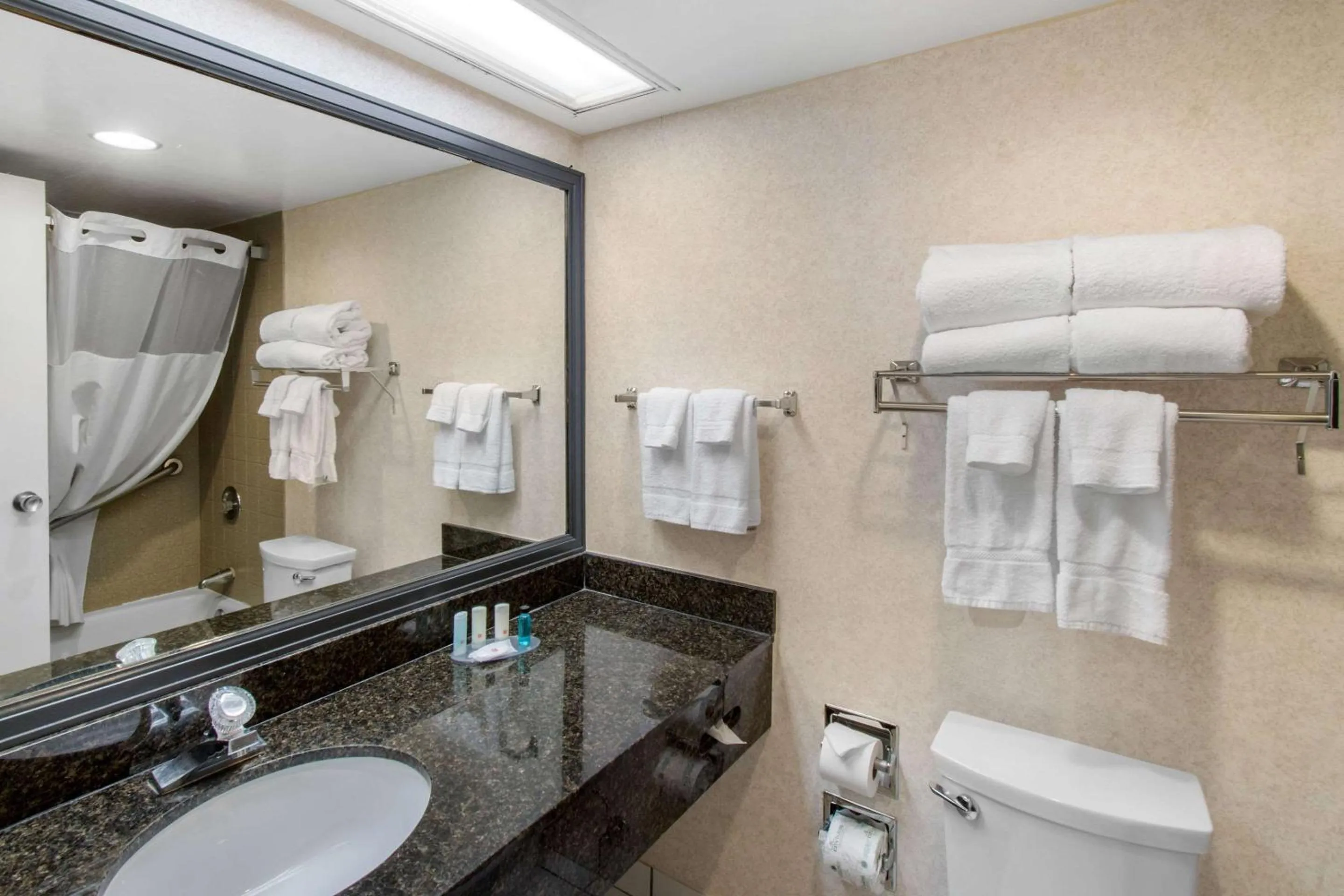 Bathroom in Clarion Hotel Denver Central