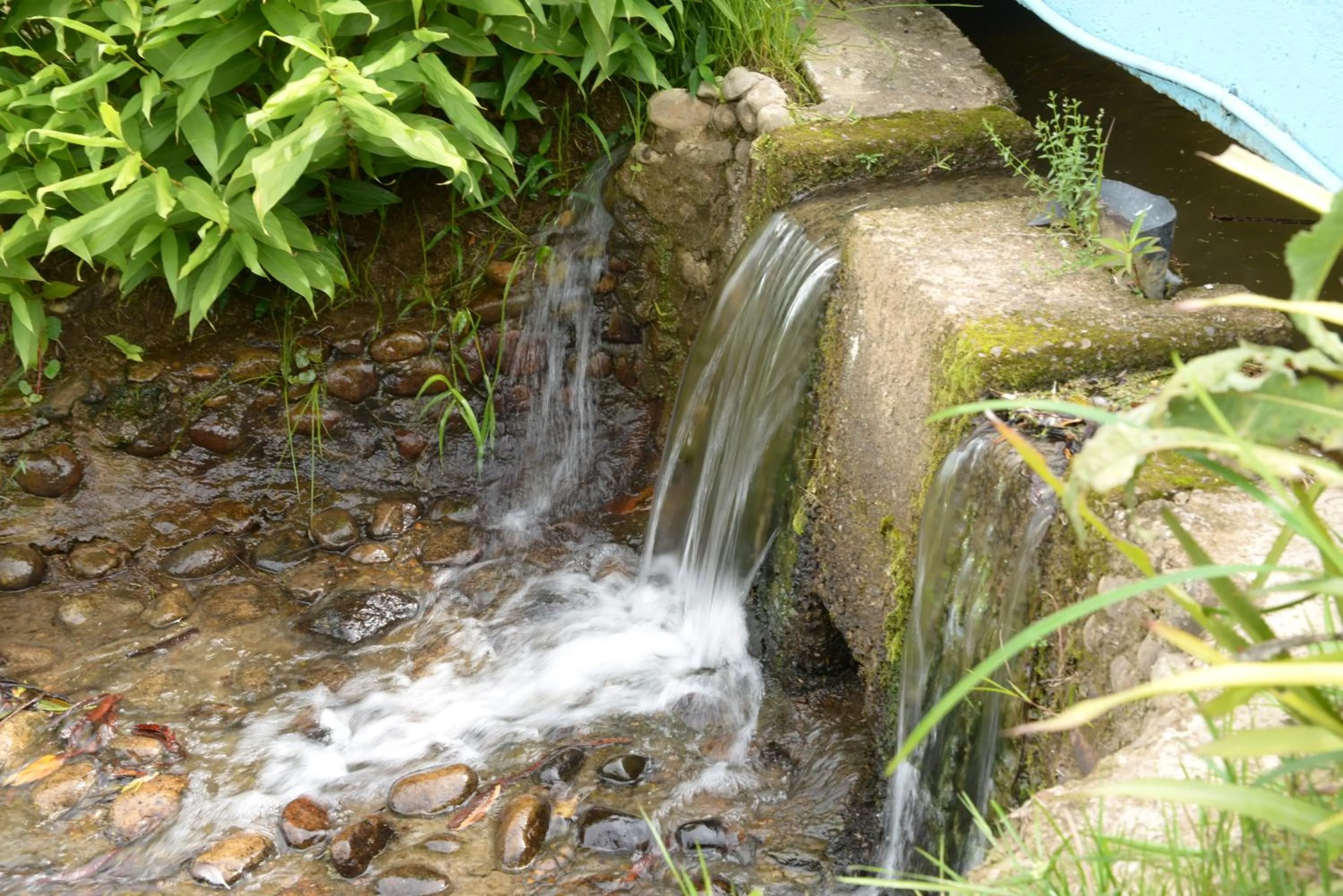 Garden in Hotel Pousada Esmeralda