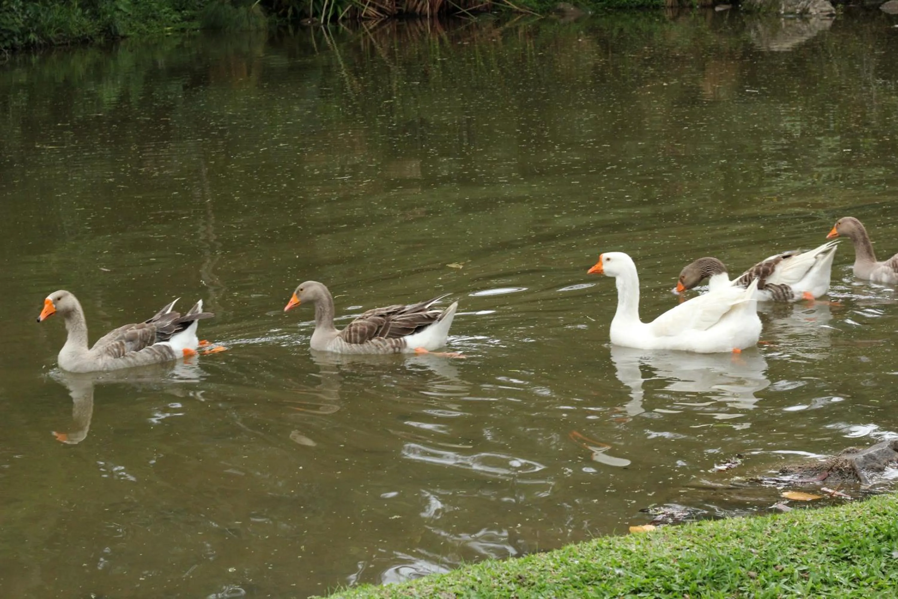 Hotel Pousada Esmeralda
