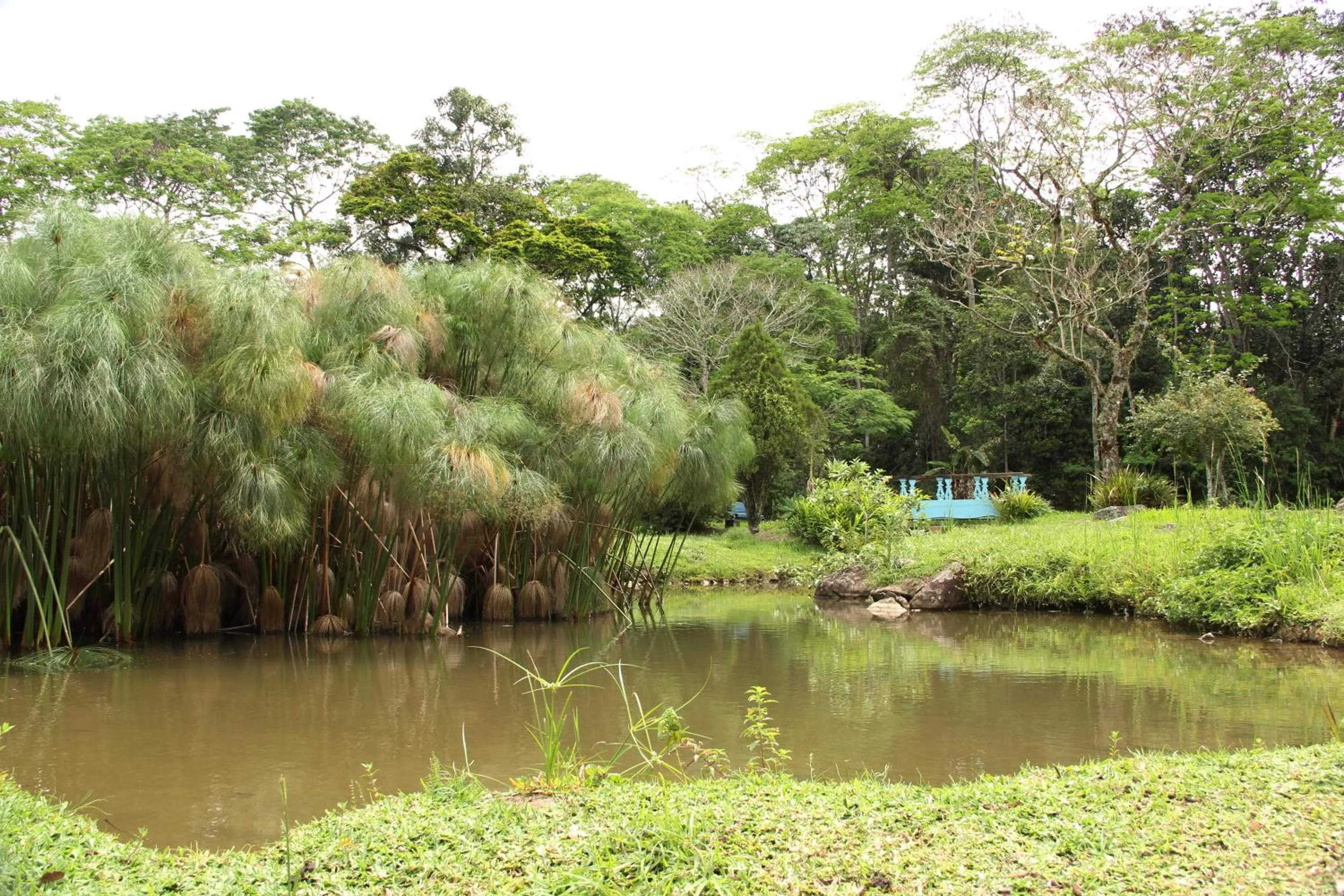 Area and facilities in Hotel Pousada Esmeralda