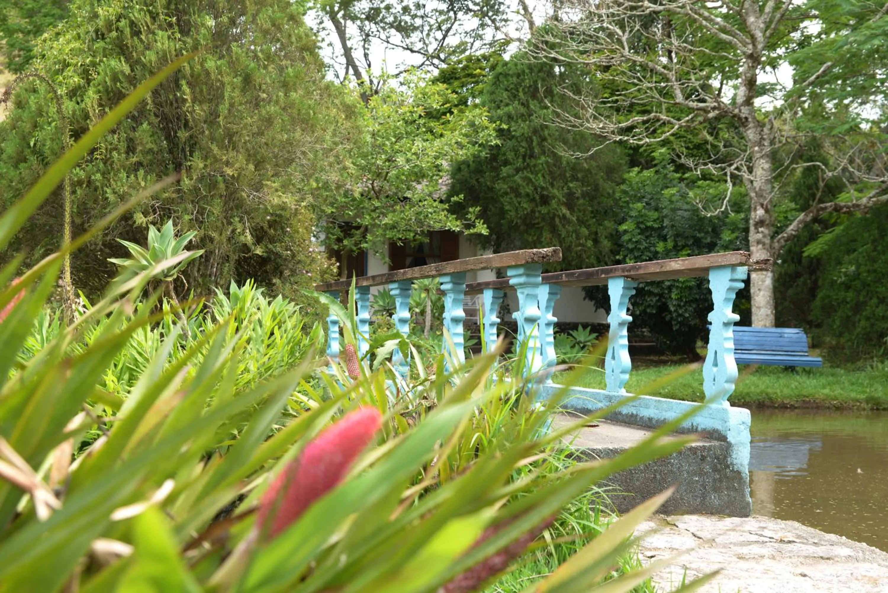 Lake view in Hotel Pousada Esmeralda