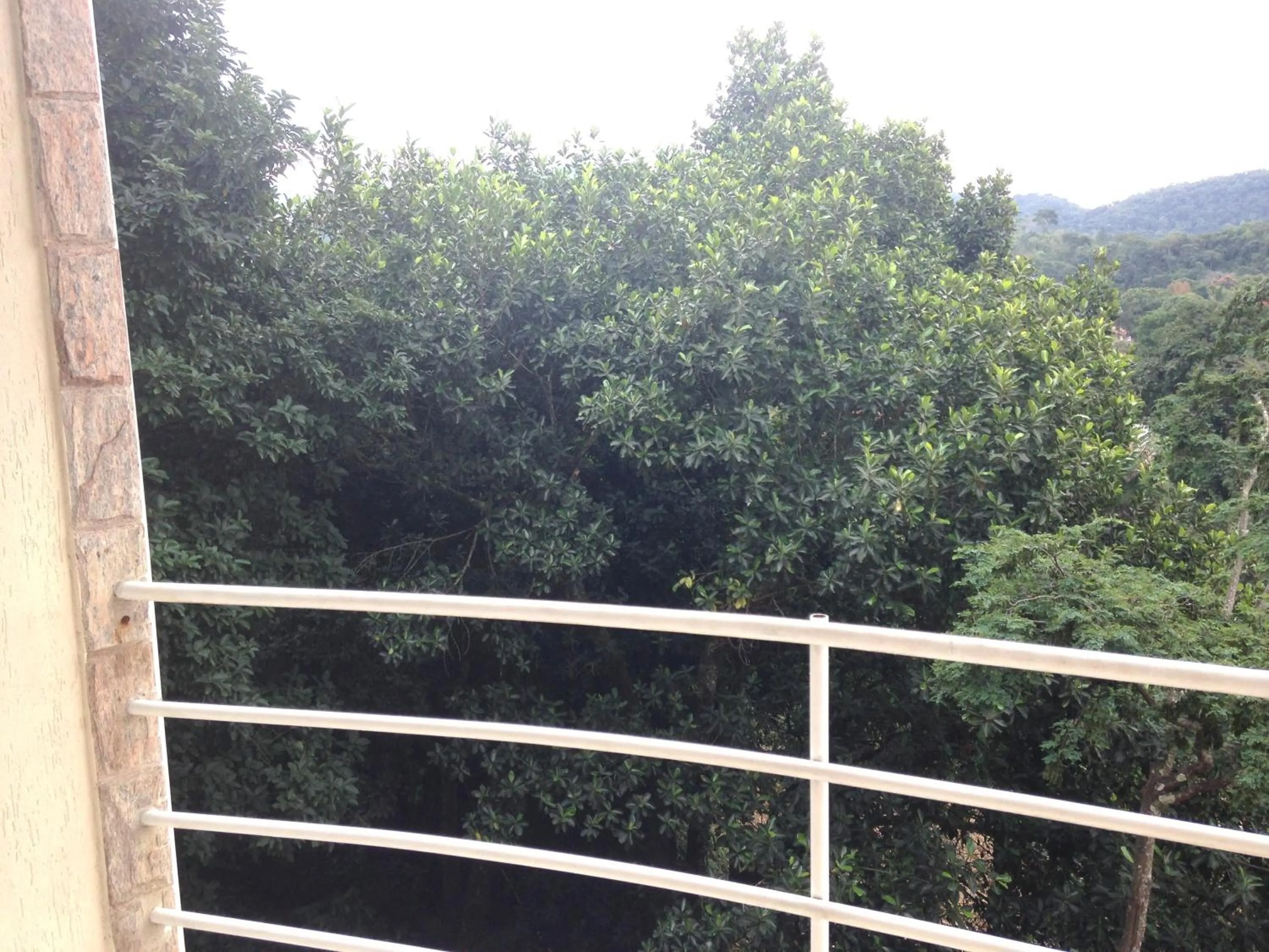 Day in Hotel do Papai Noel