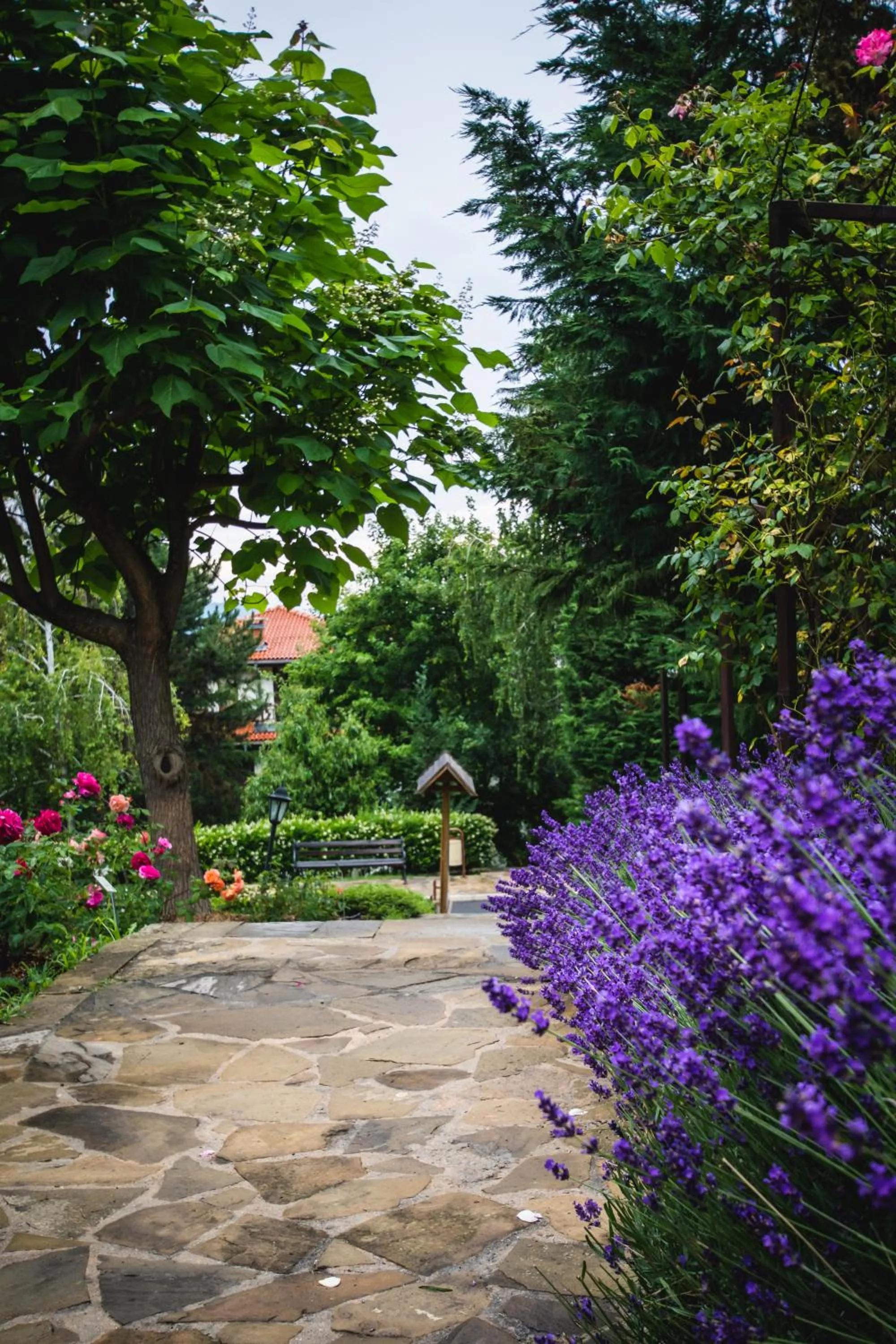 Garden in Santa Marina Holiday Village