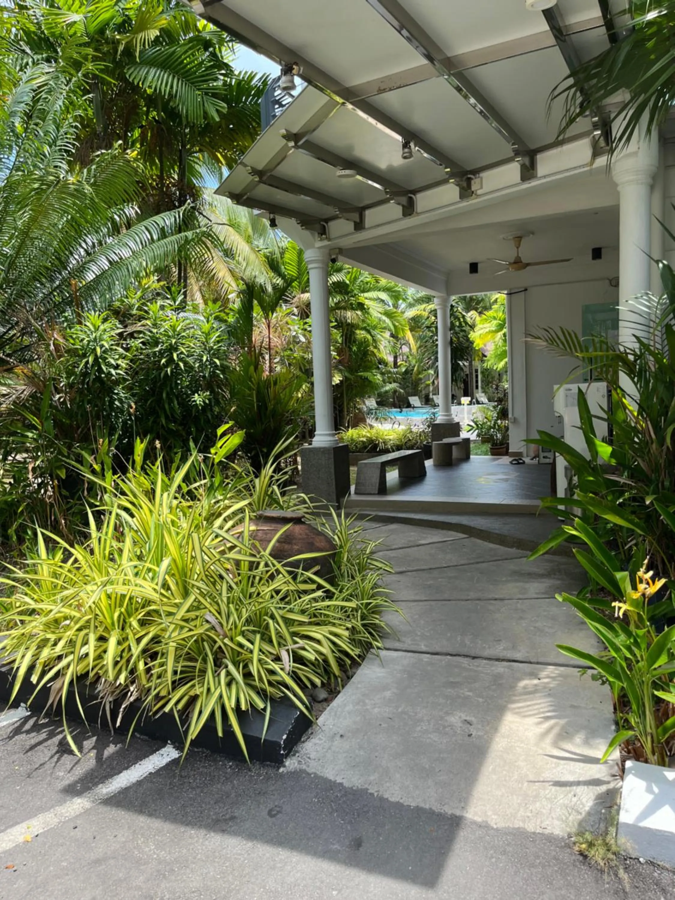 Garden in White Lodge