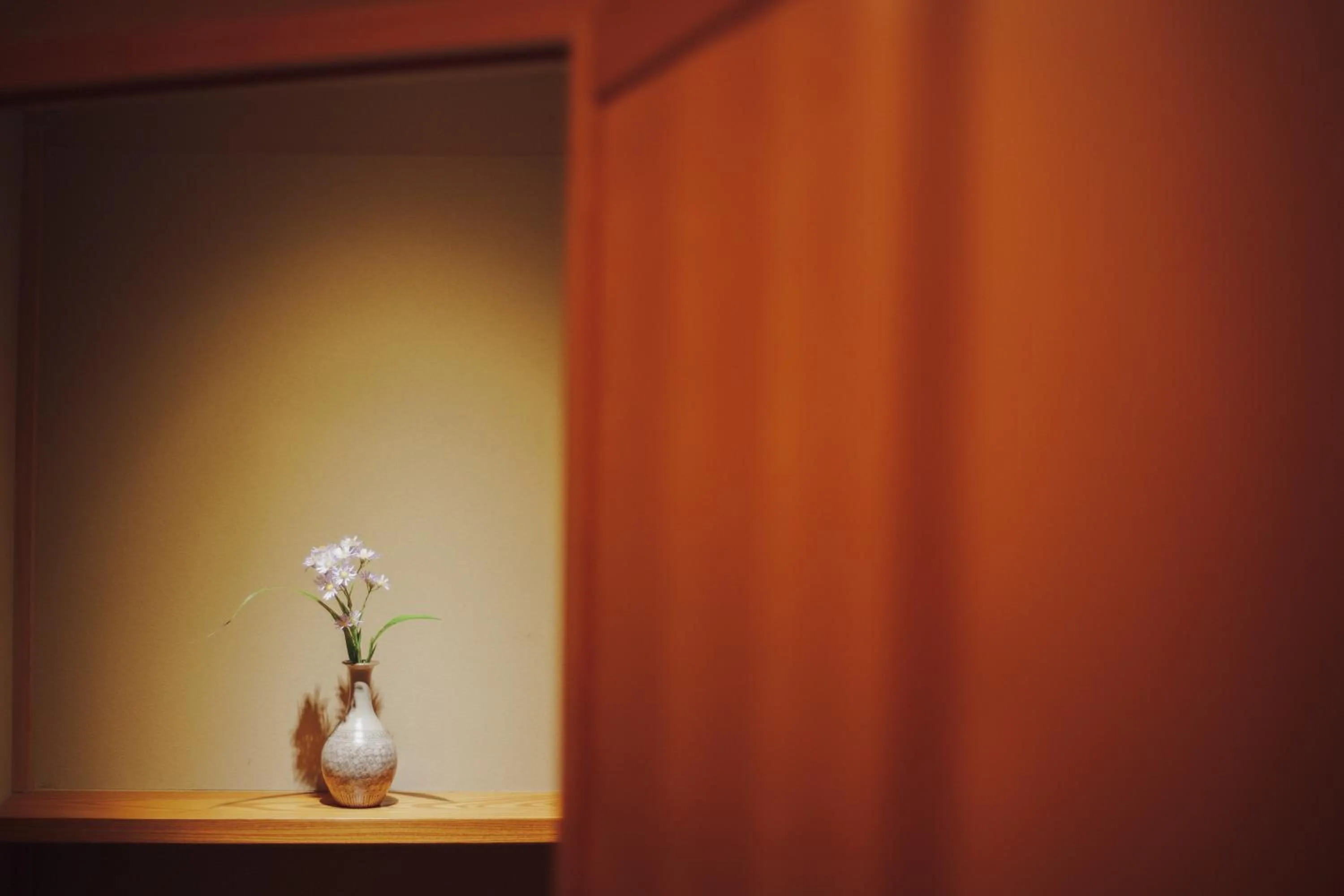 Photo of the whole room in Ryokan Motonago