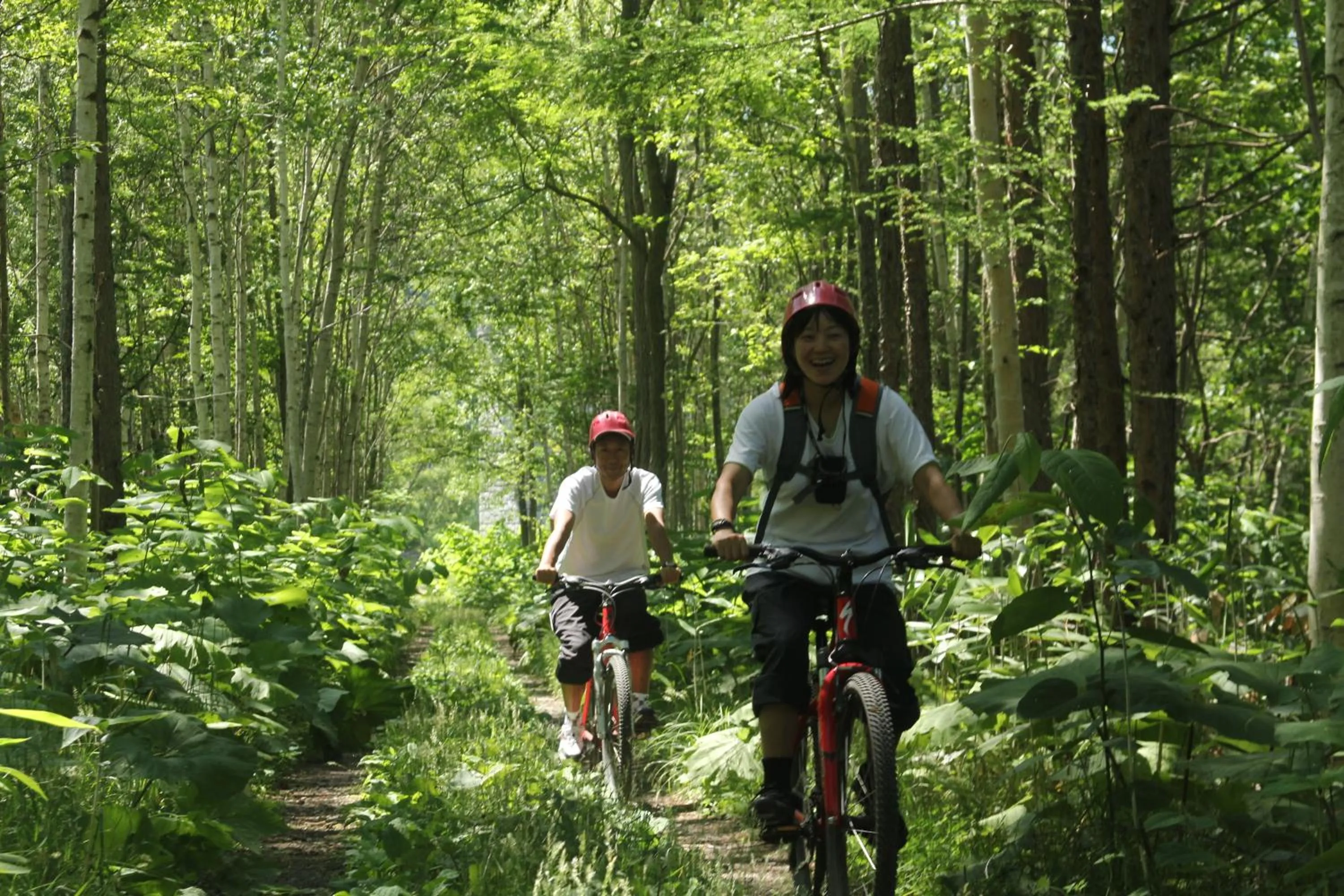 Cycling in Niseko Freedom Inn