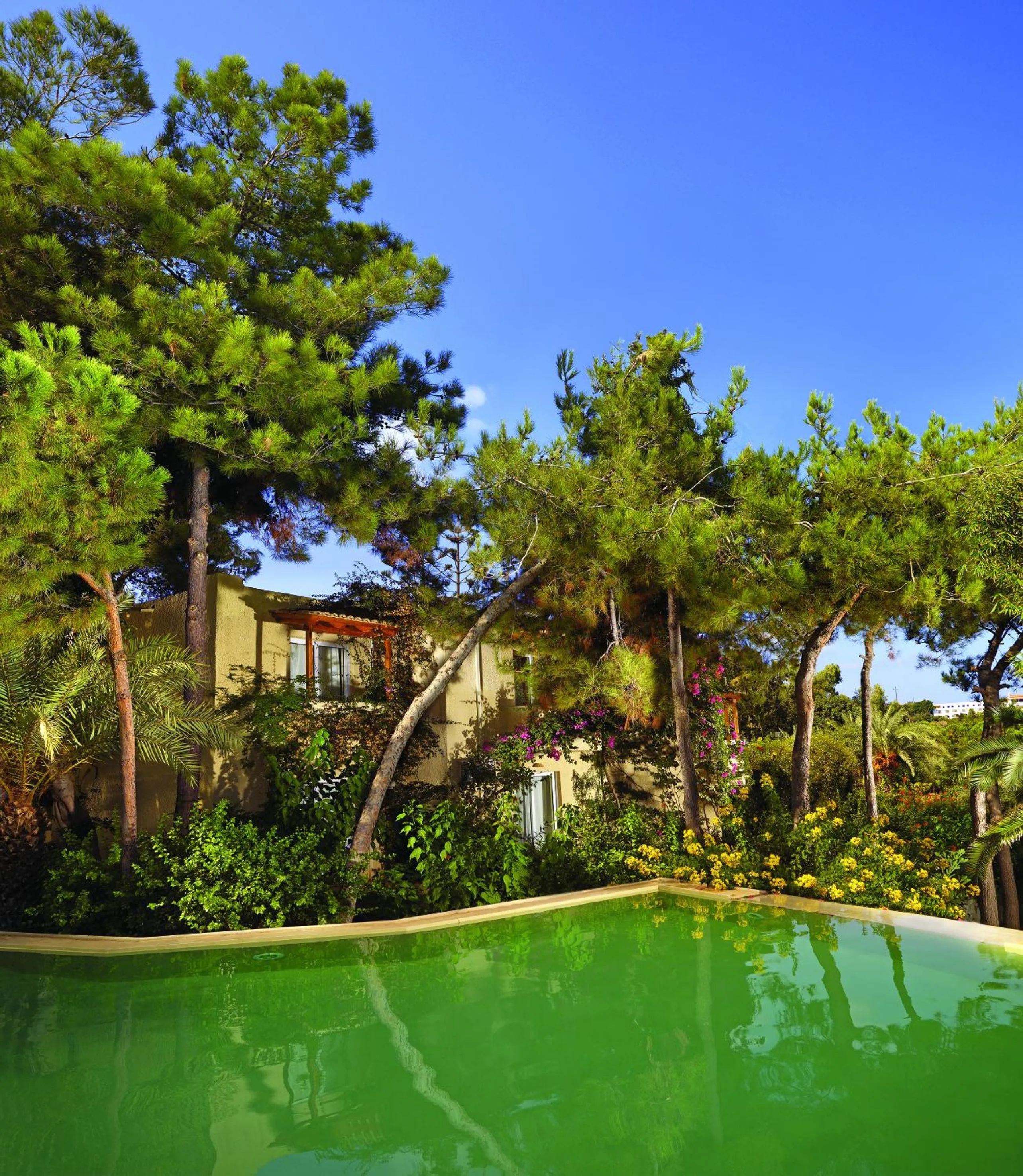 Day in Out Of The Blue Resort & Spa