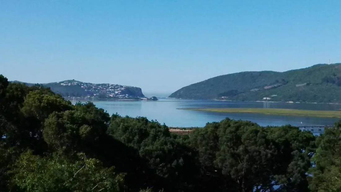 Area and facilities in South Villa Guesthouse&Garden