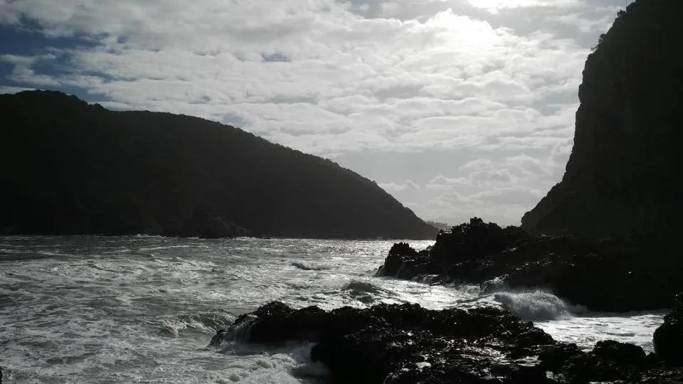 Area and facilities in South Villa Guesthouse&Garden