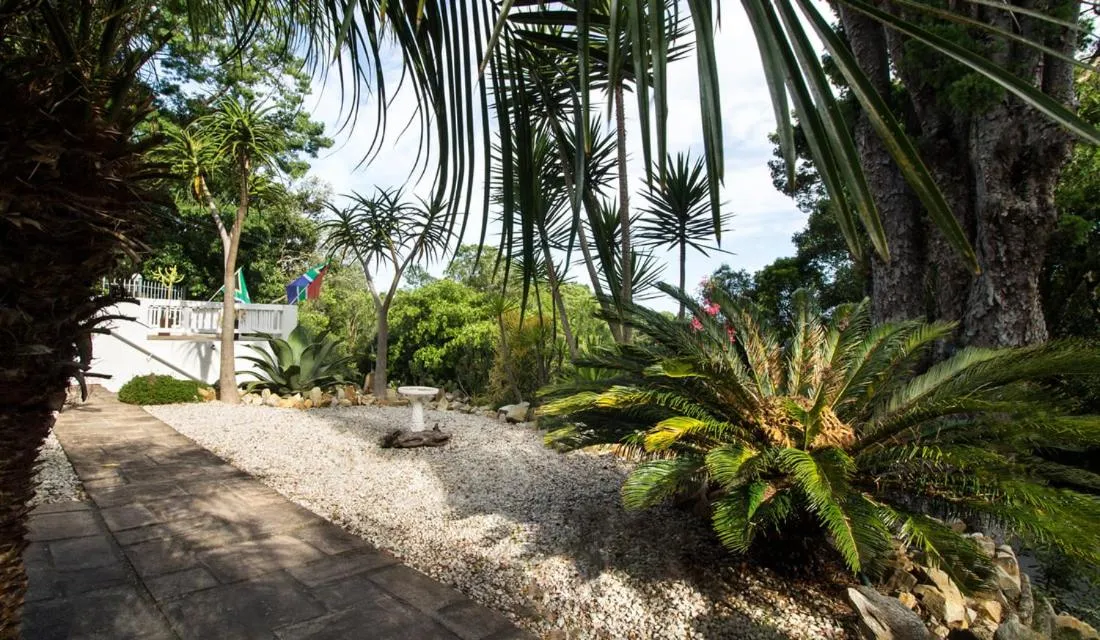 Garden in South Villa Guesthouse&Garden