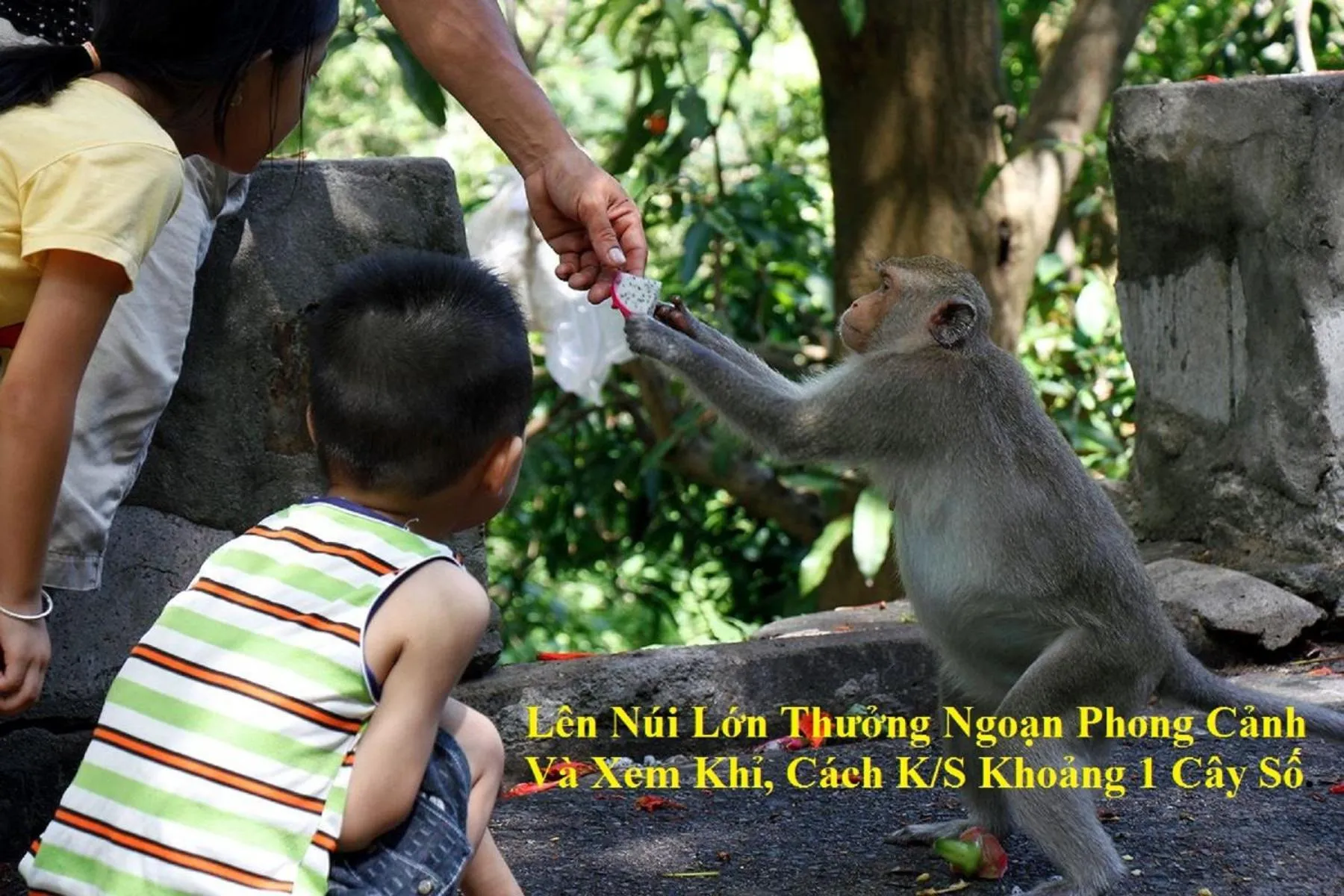 Nearby landmark in Lam Son Hotel