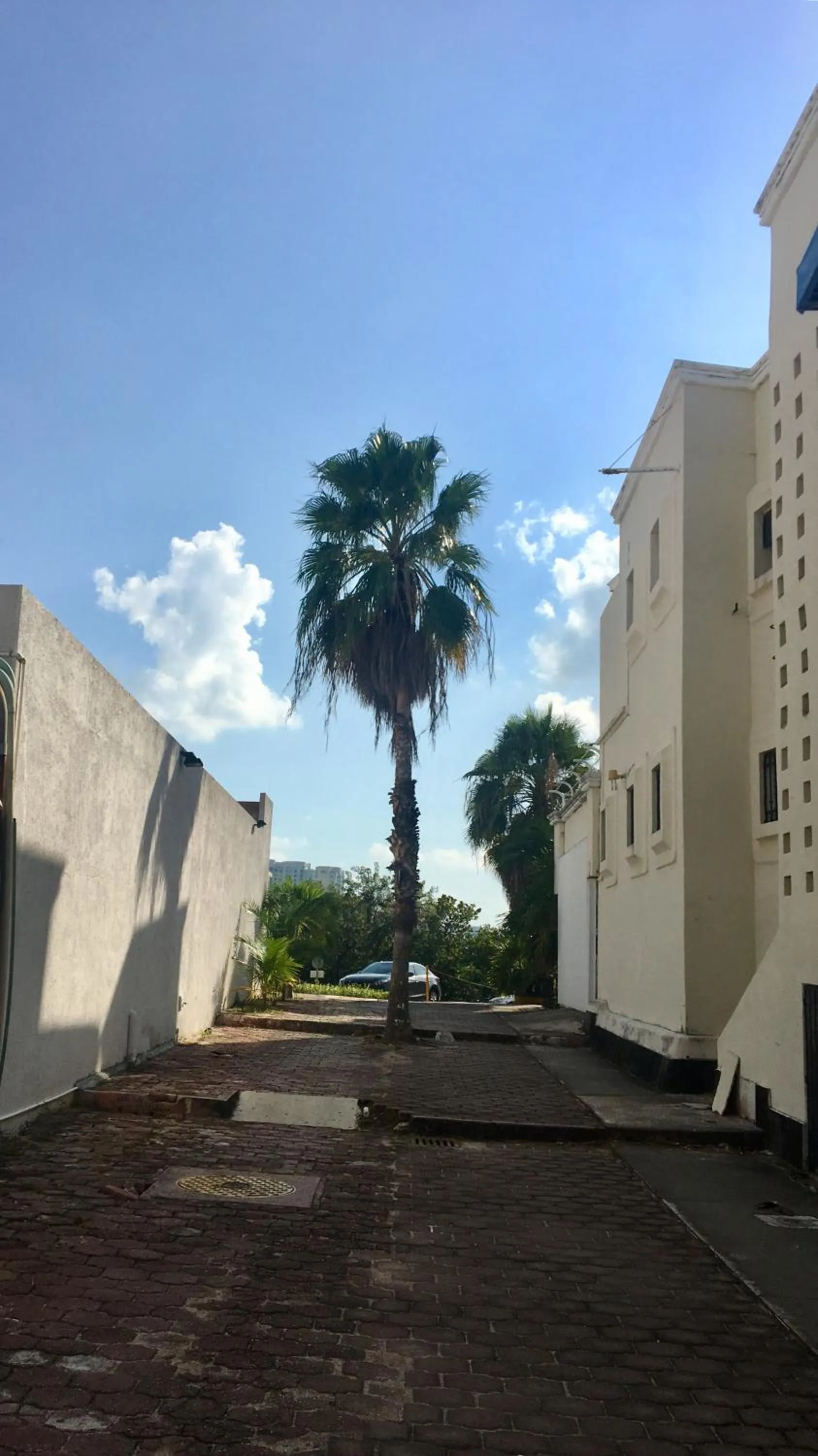 Lake view in Cancún Suites Apartments - Hotel Zone