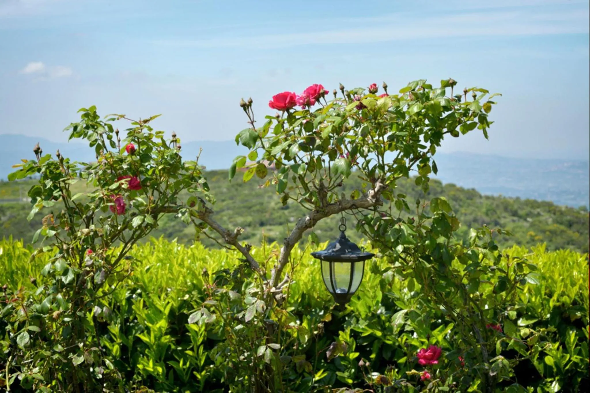 Day in Il Casale Delle Ginestre