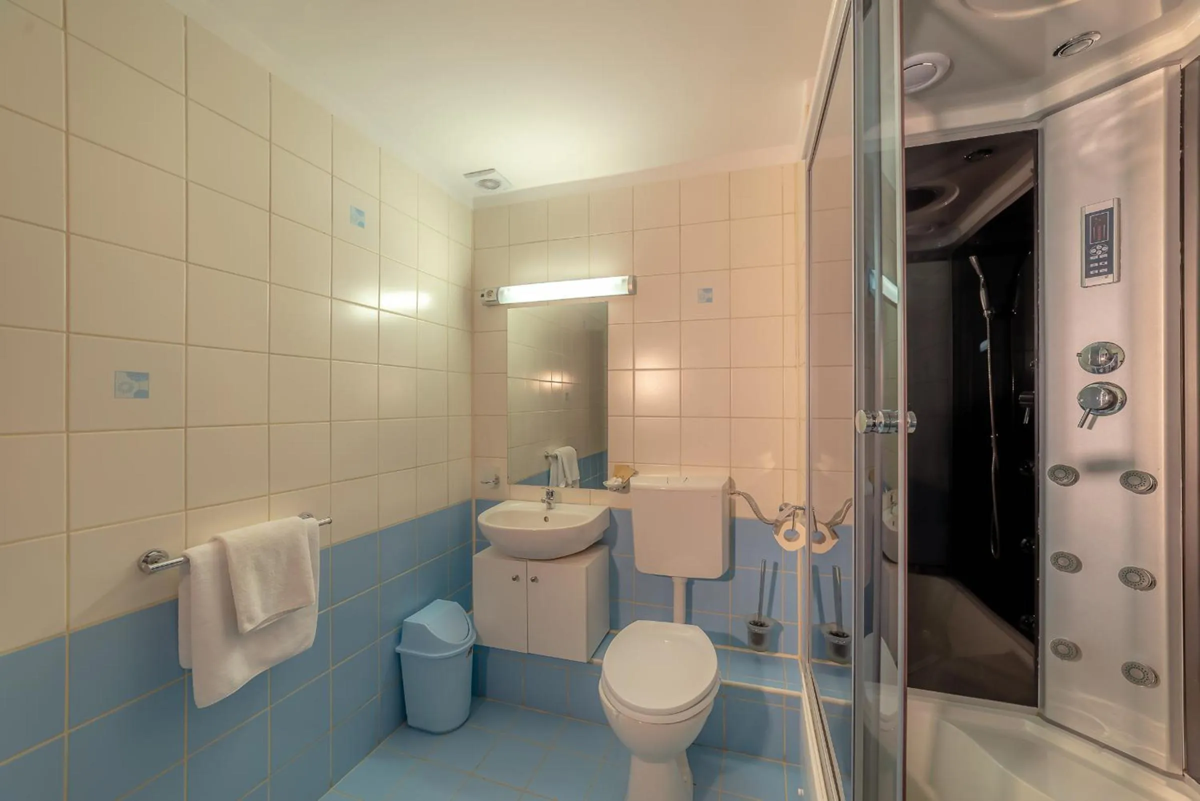 Bathroom in Pension Cluj