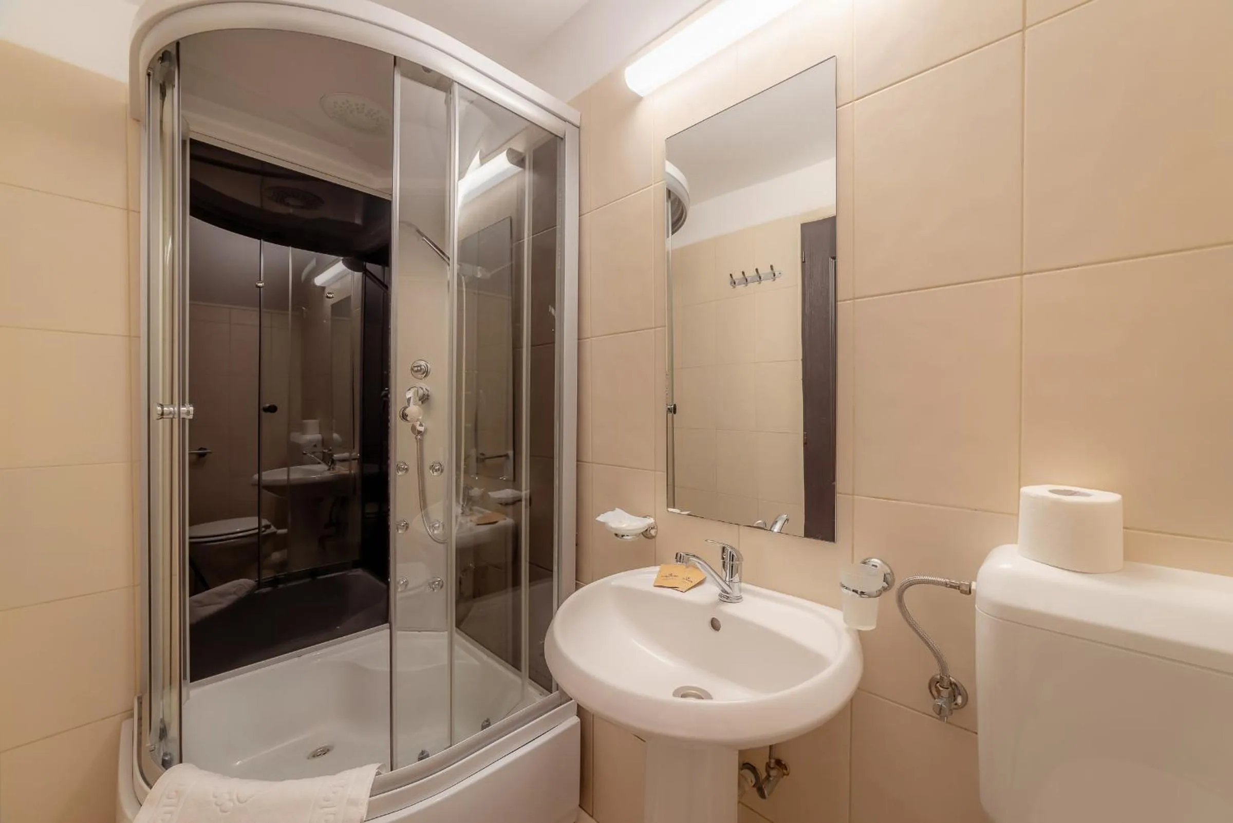 Bathroom in Pension Cluj