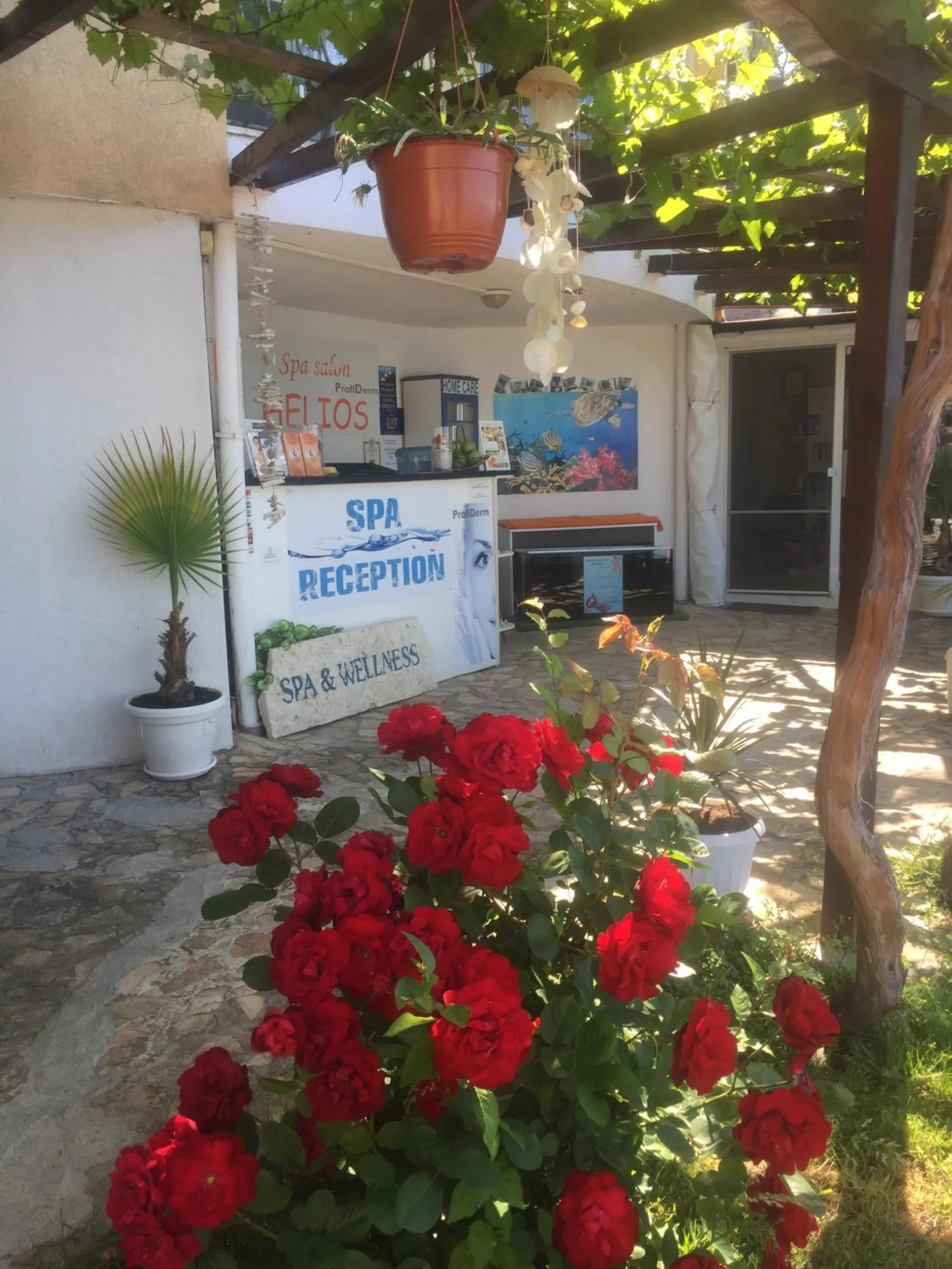 Garden in Helios Hotel