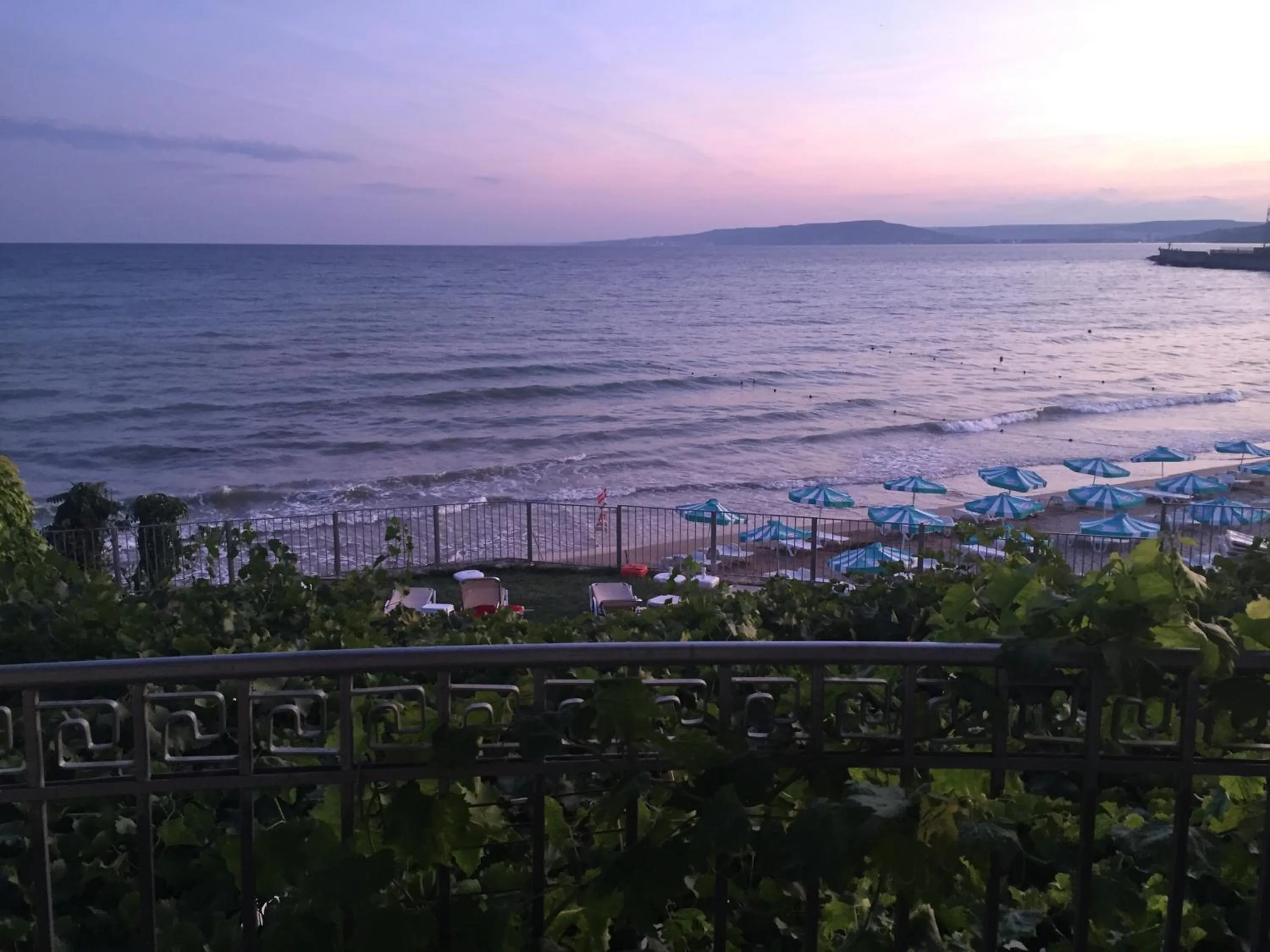Garden in Helios Hotel