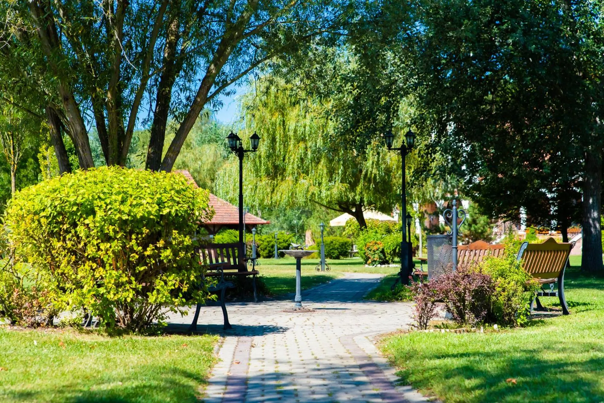 Day in Erdőspuszta Club Hotel Fenyves