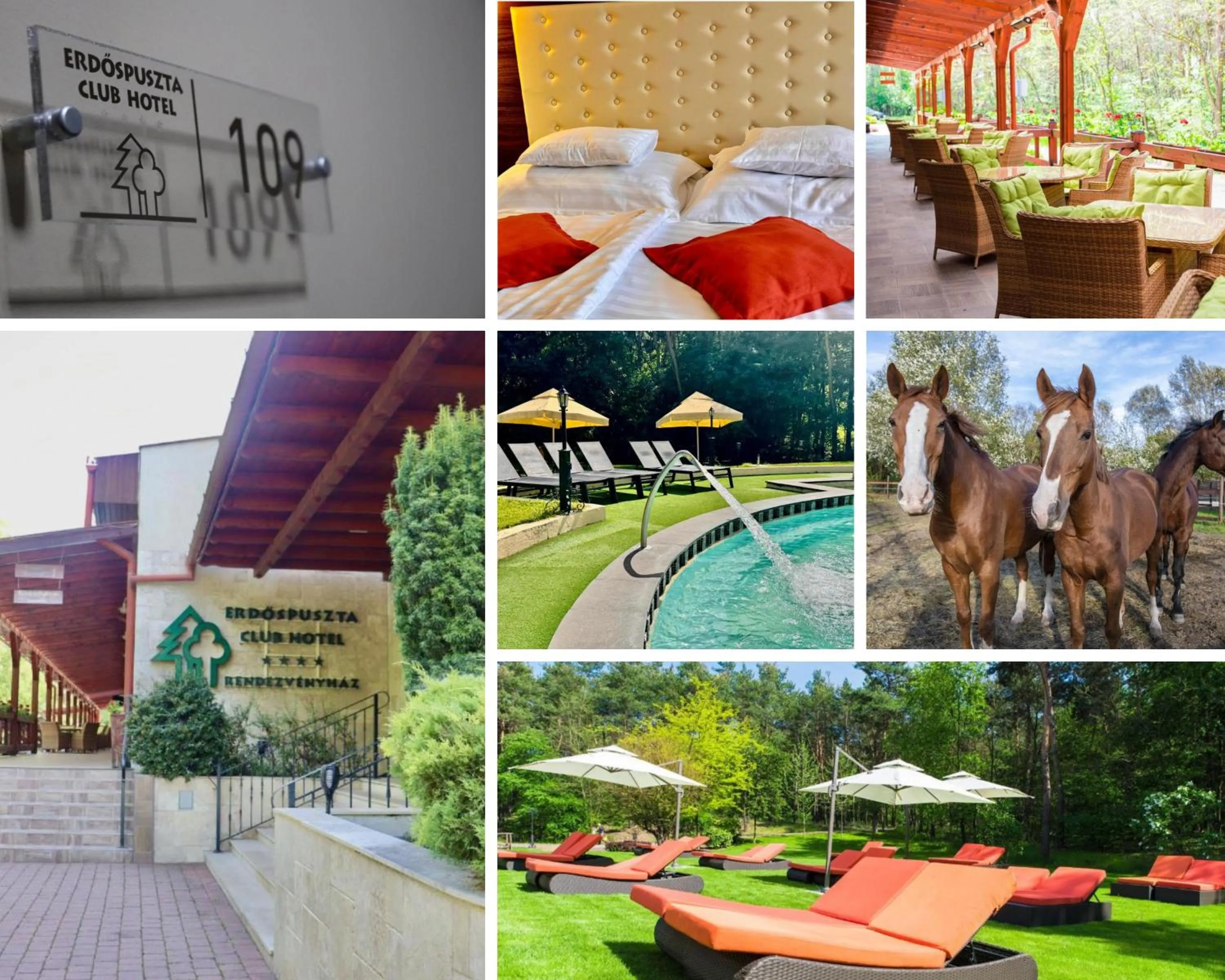 Property building in Erdőspuszta Club Hotel Fenyves