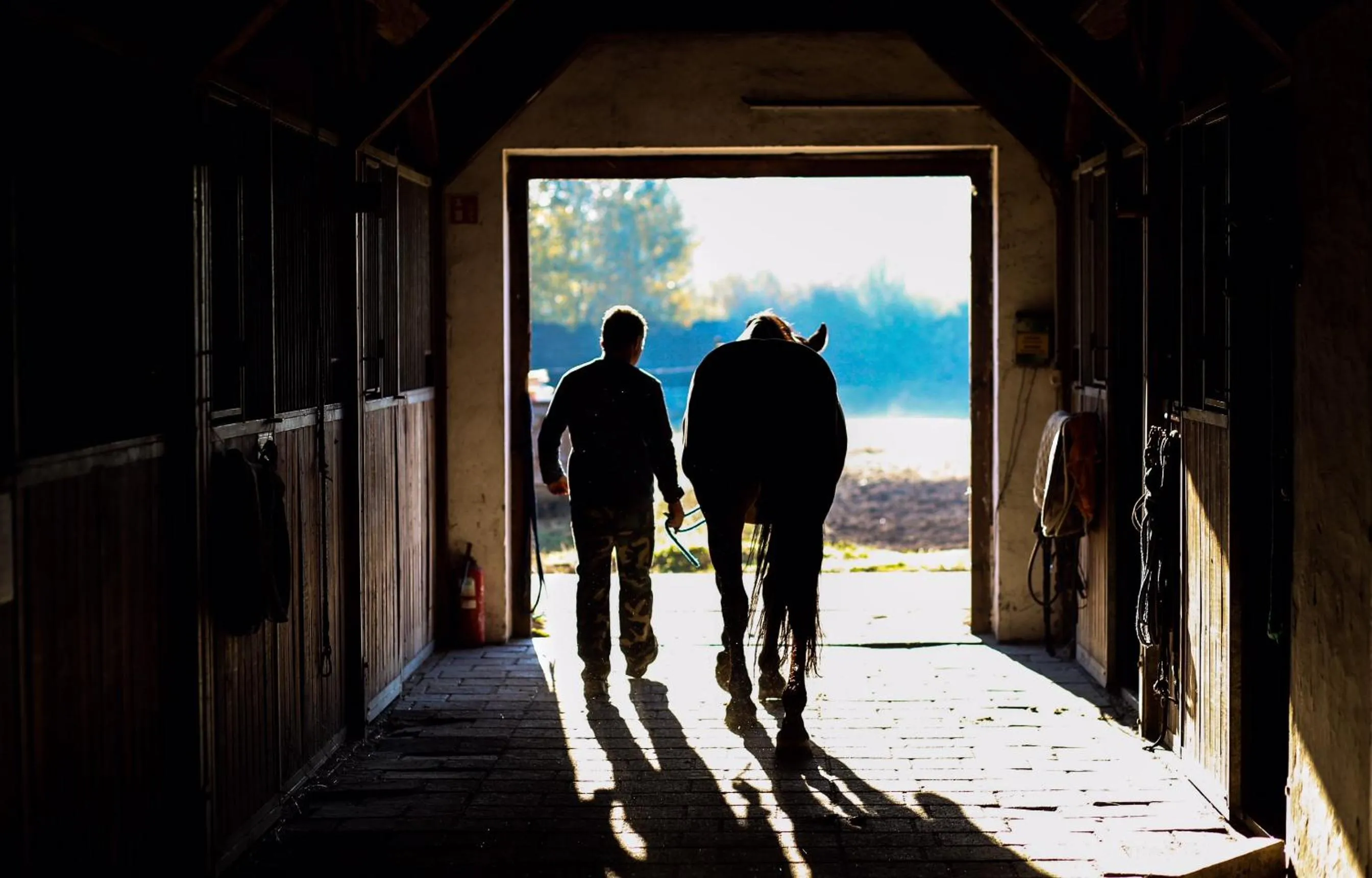 Day in Erdőspuszta Club Hotel Fenyves