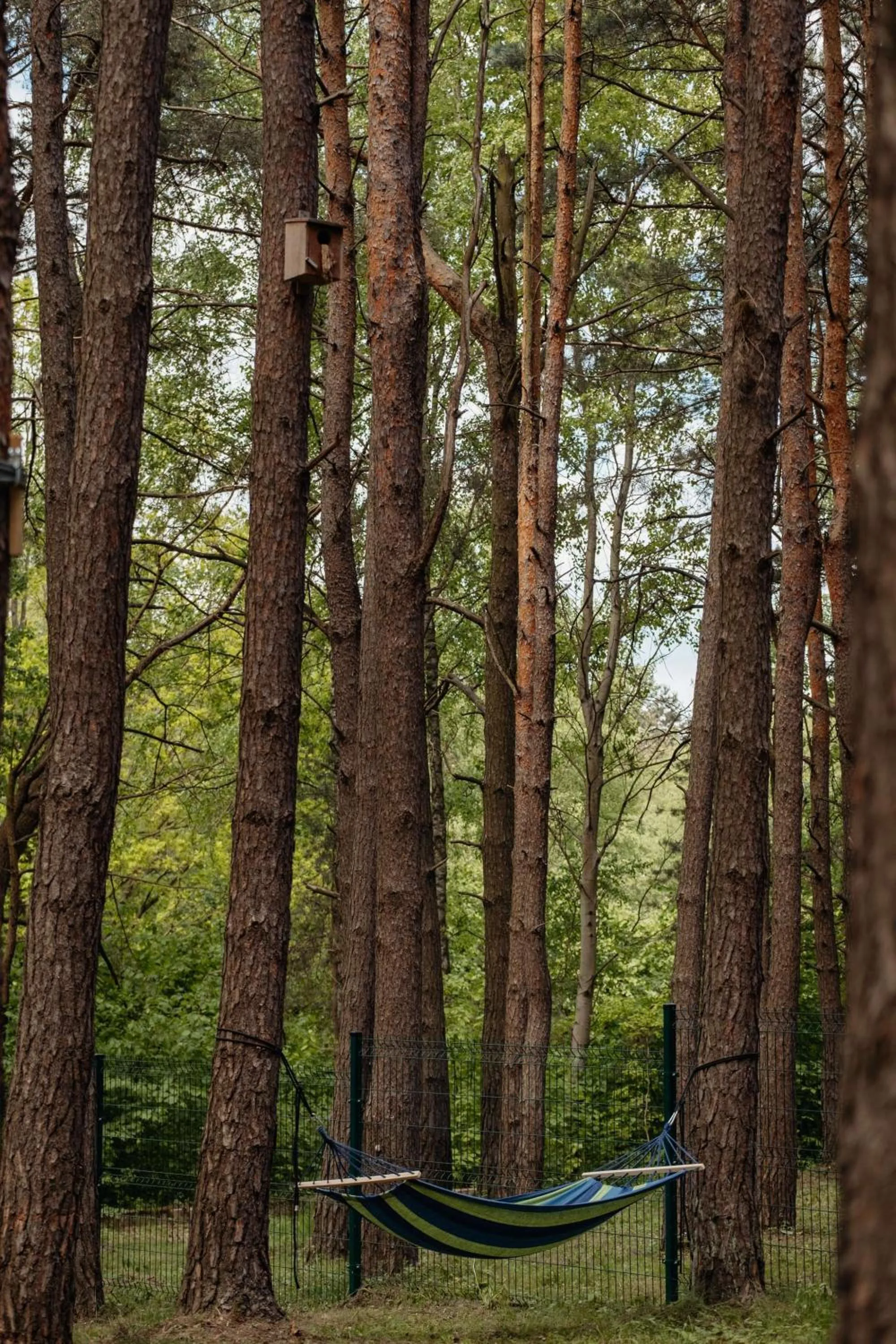 Property building in Hotel Uroczysko