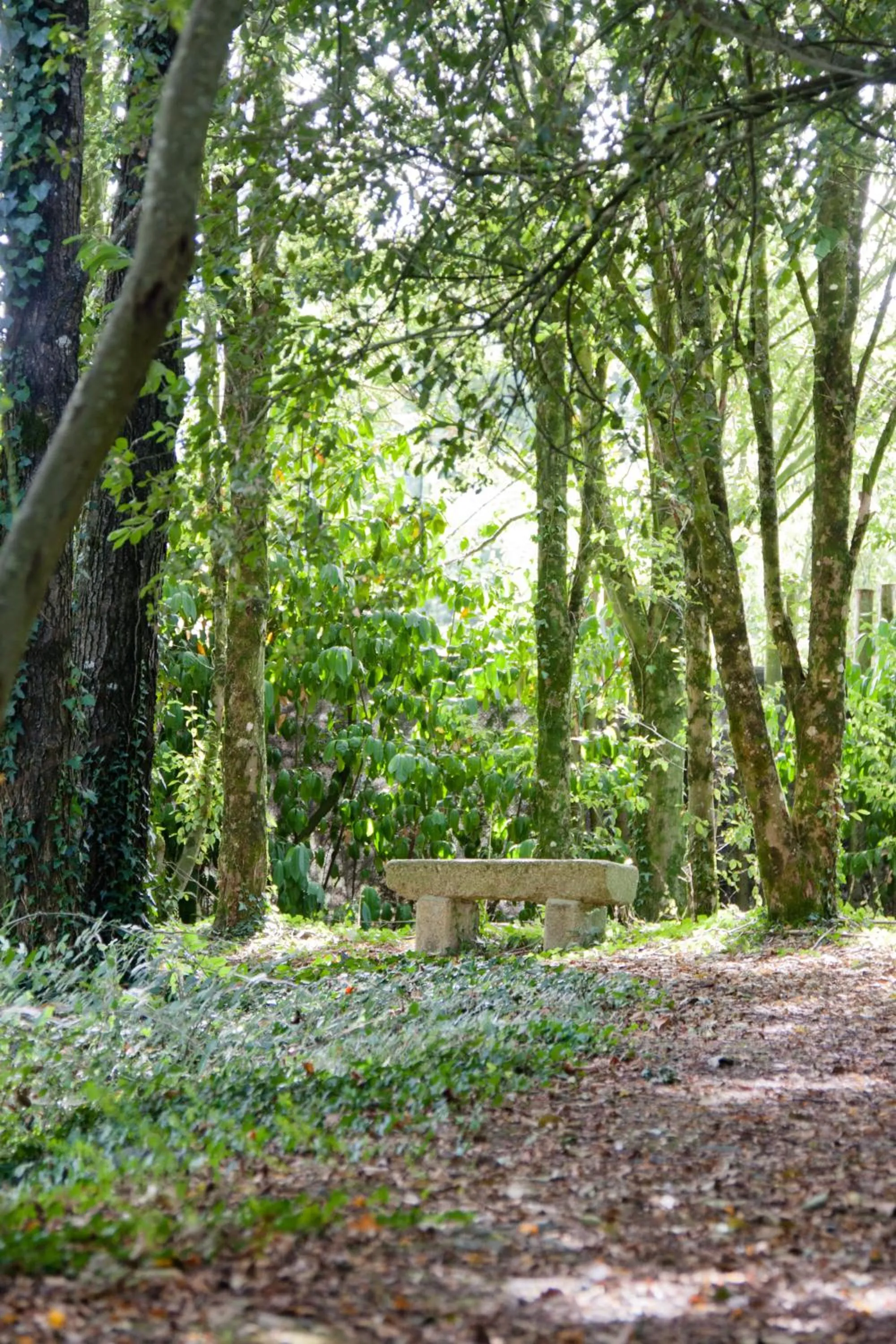 Natural landscape in Chateau Du Boisniard