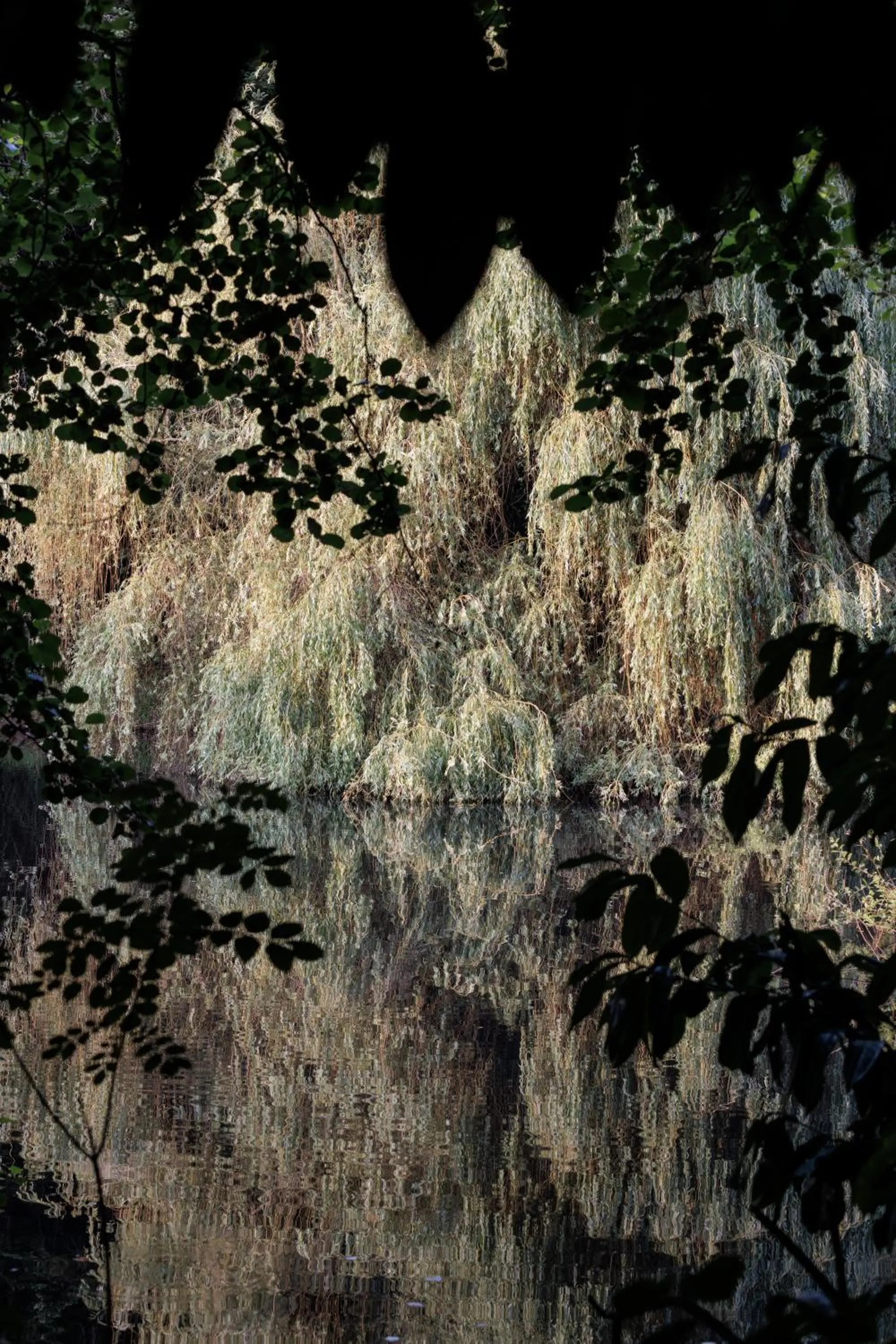 Text overlay in Chateau Du Boisniard