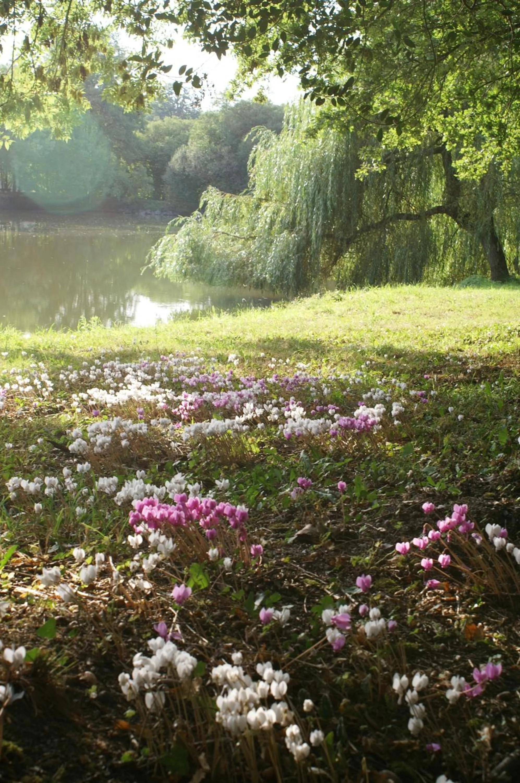 Natural landscape in Chateau Du Boisniard