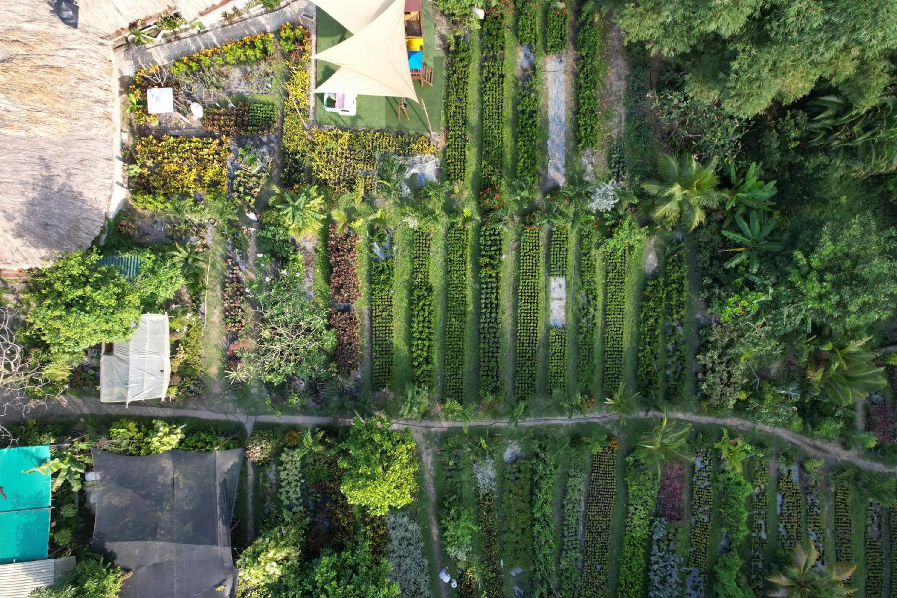 Bird's eye view in Portales del Tayrona Garden Hotel